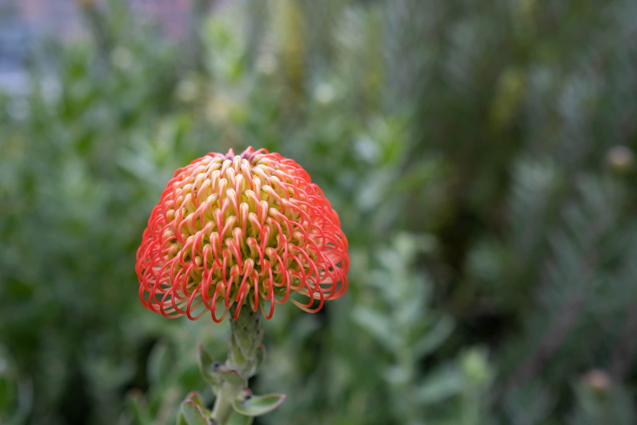 
  Photo 1 of 12 in San Francisco