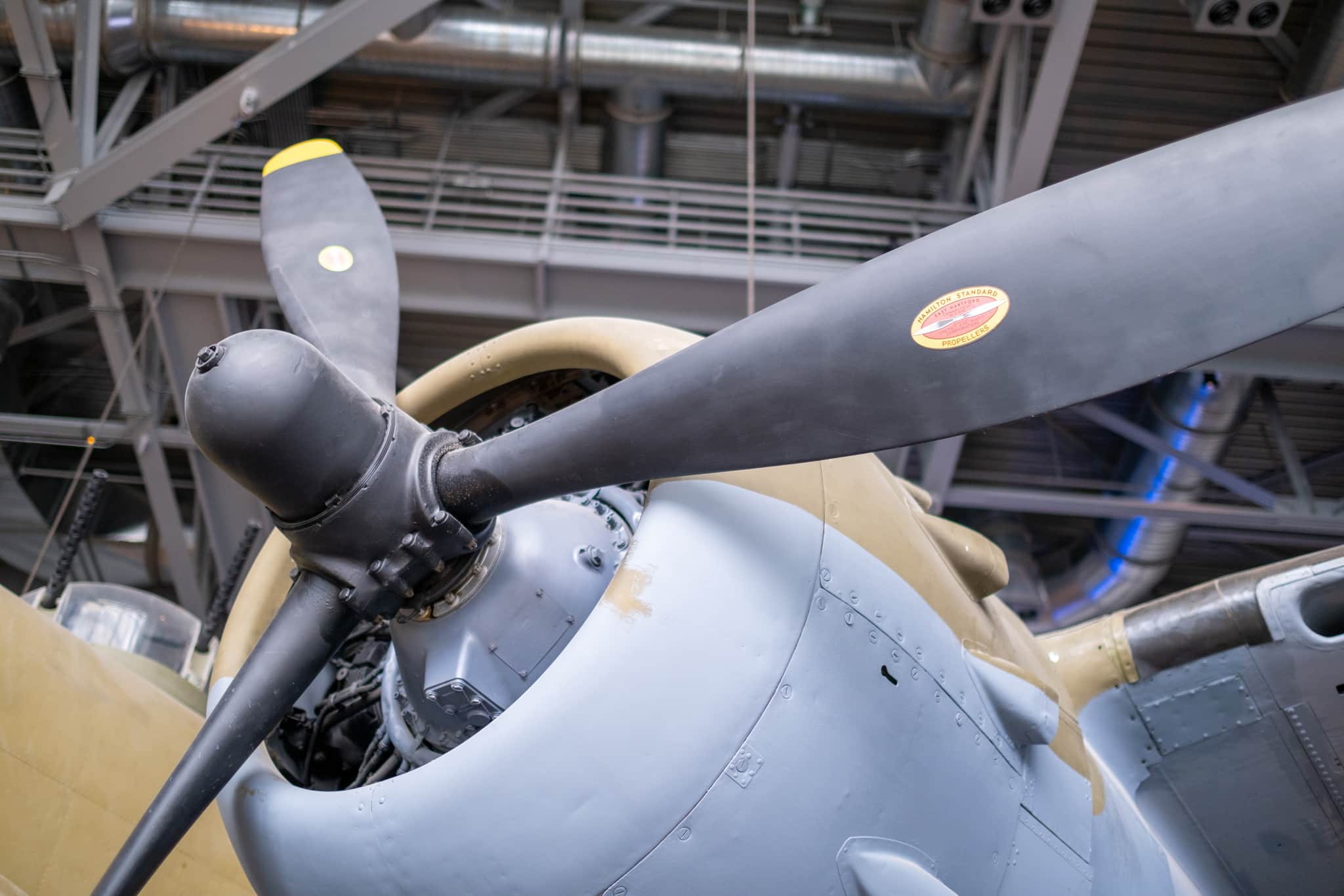 
  Photo 1 of 26 in New Orleans