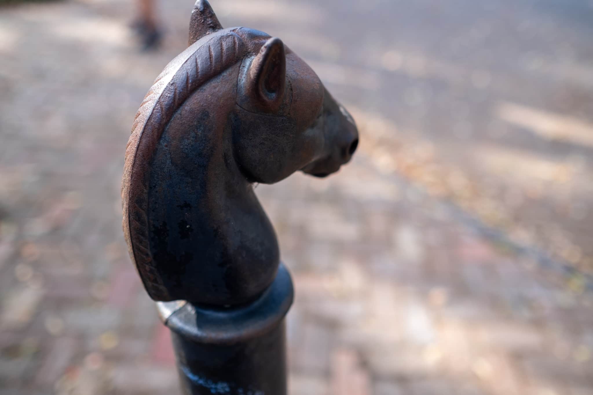 
  Photo 1 of 26 in New Orleans