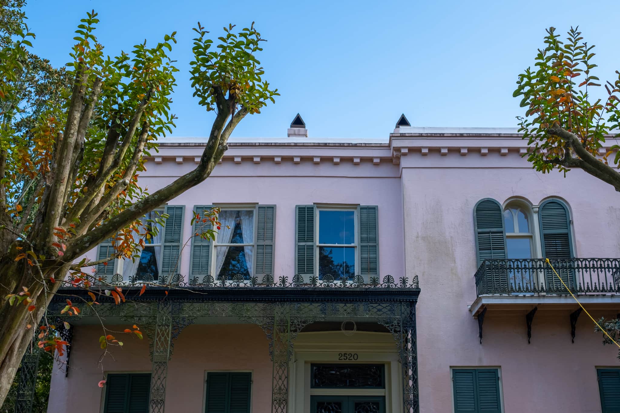 
  Photo 1 of 26 in New Orleans