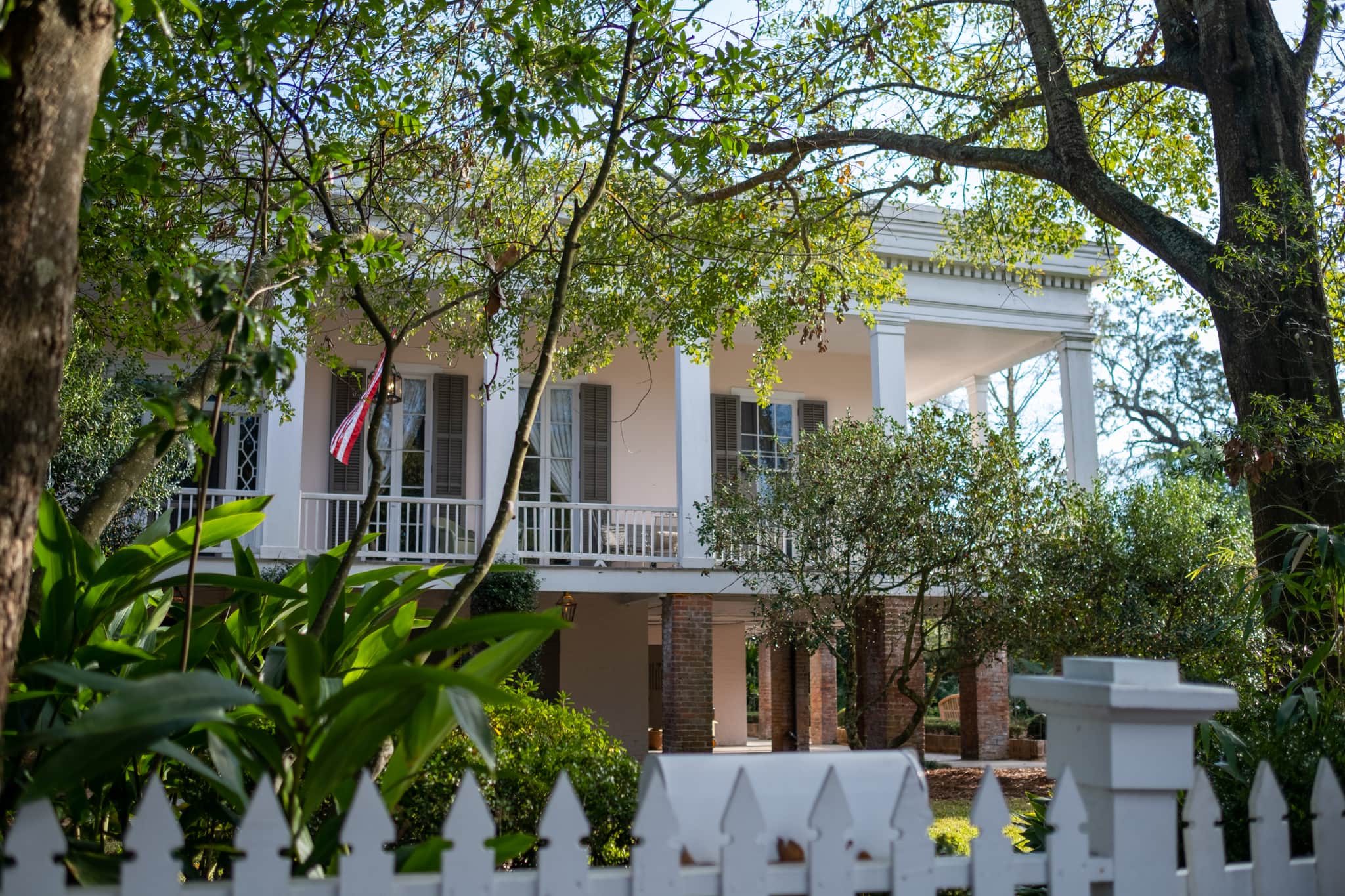 
  Photo 1 of 26 in New Orleans