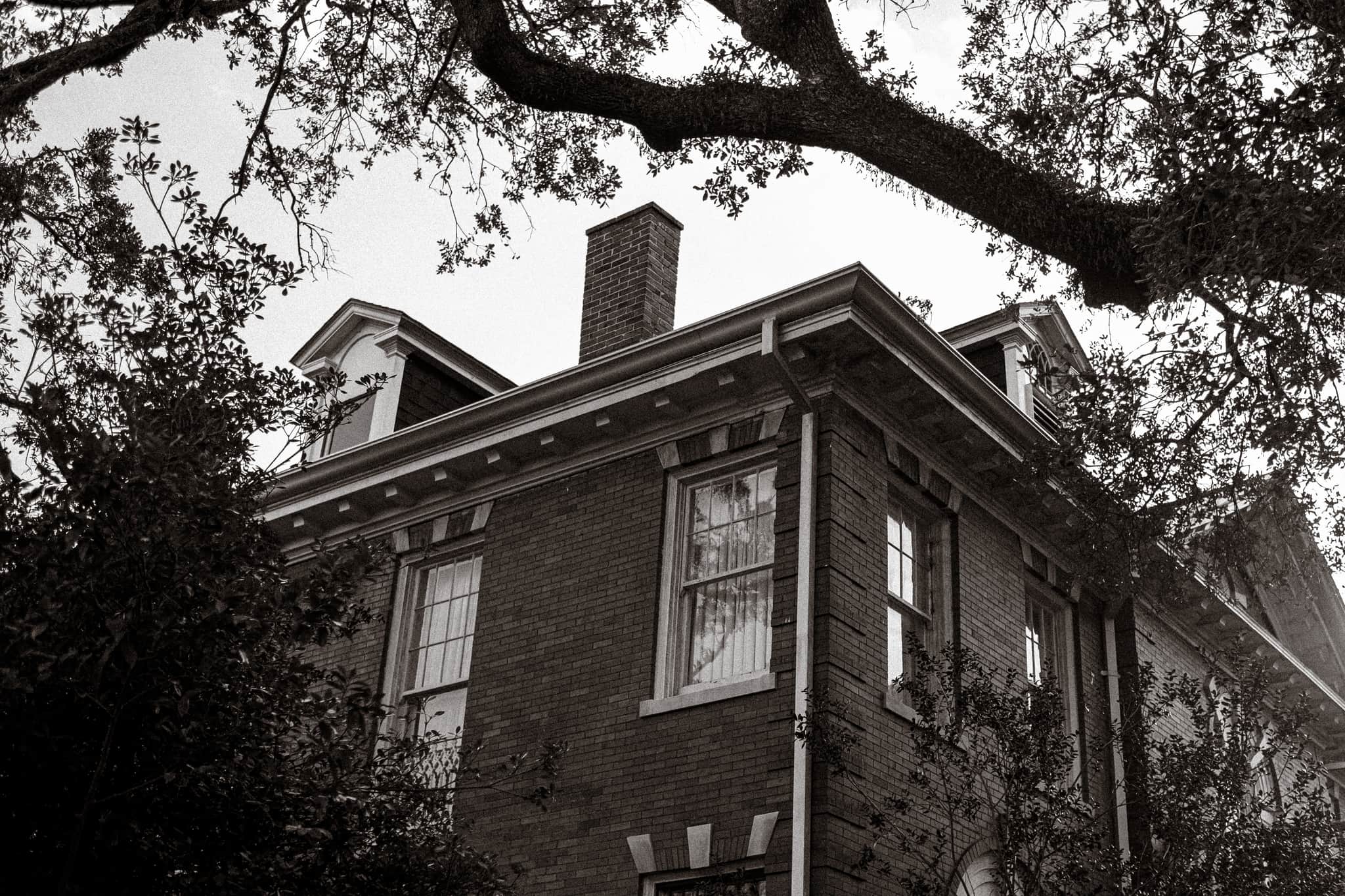 
  Photo 1 of 26 in New Orleans