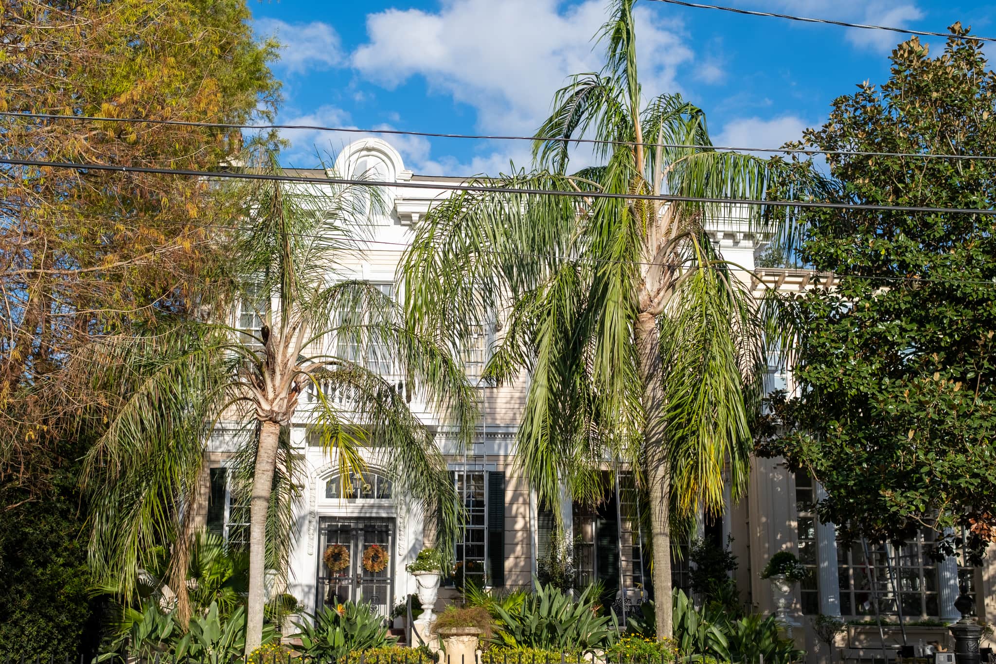 
  Photo 1 of 26 in New Orleans