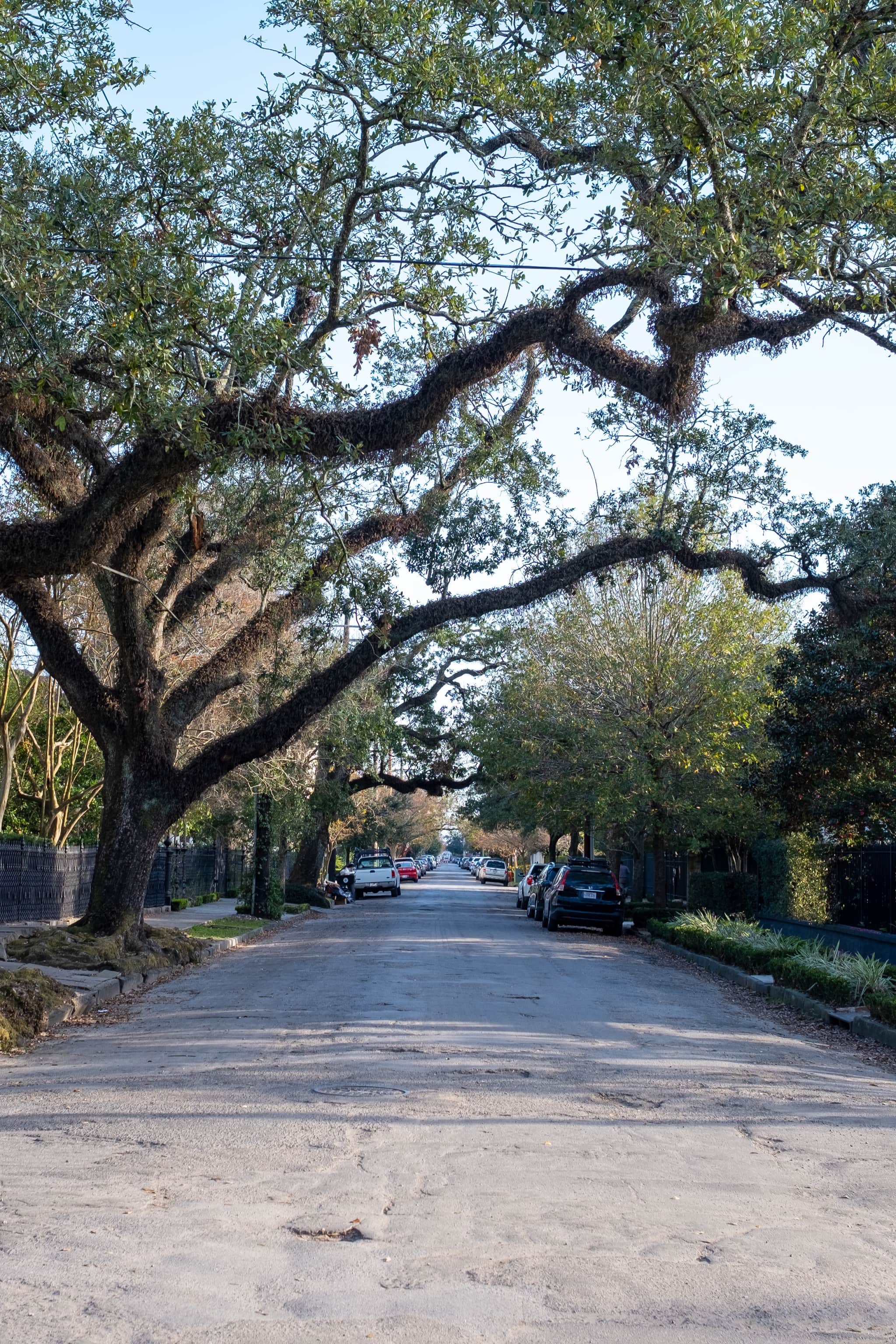 
  Photo 1 of 26 in New Orleans