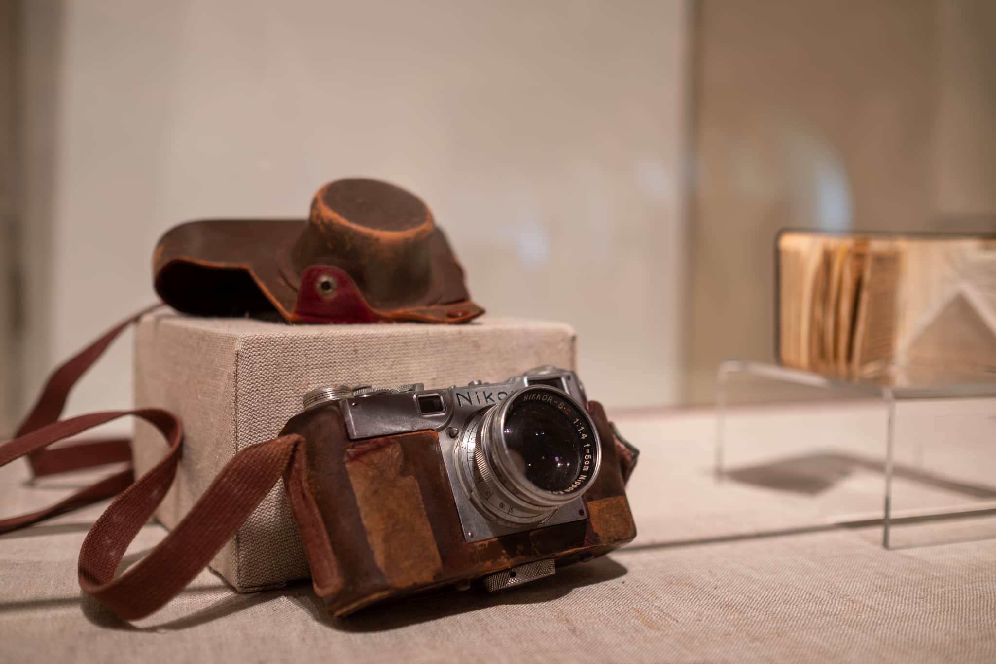 
  Photo 1 of 26 in New Orleans