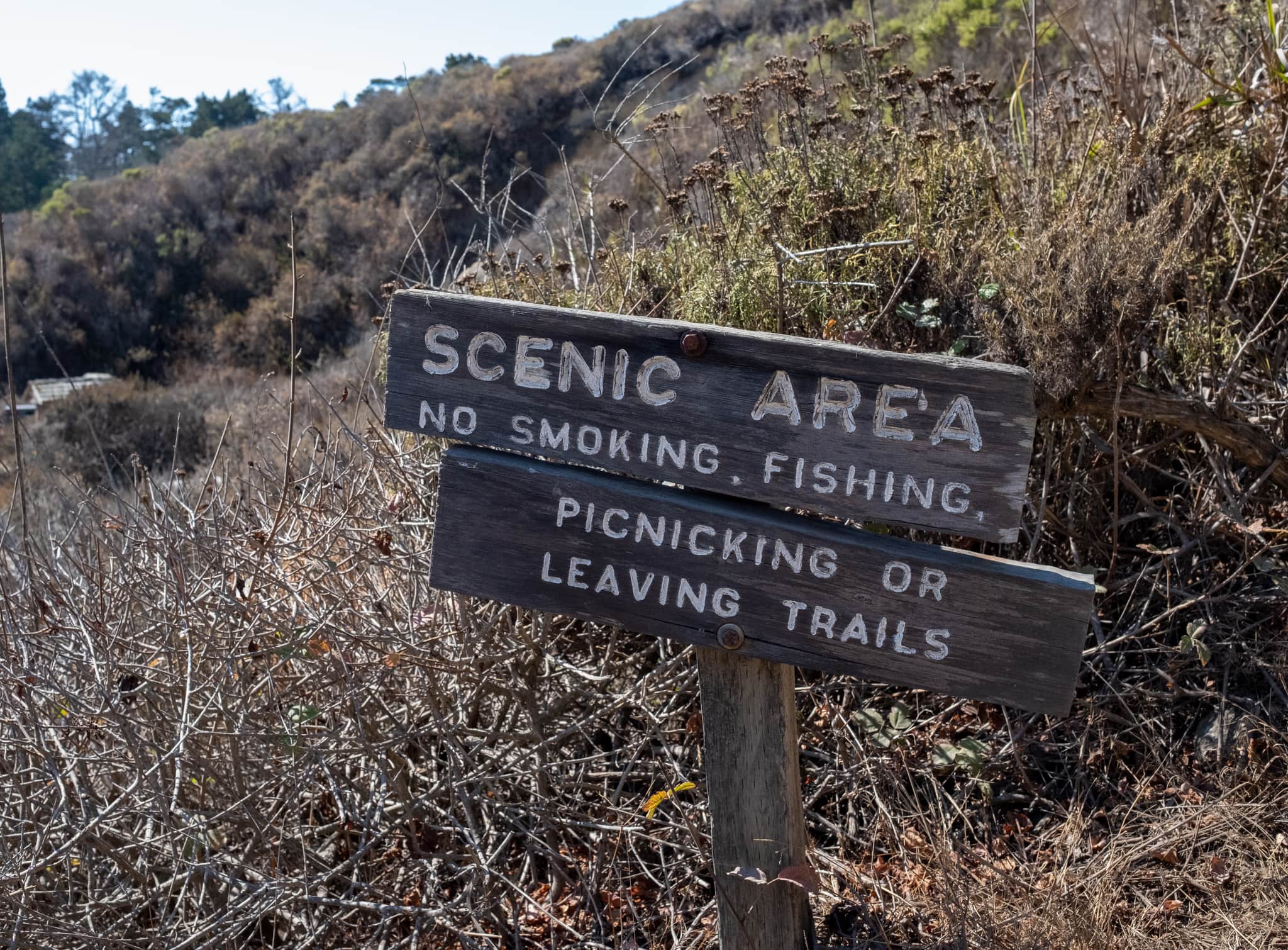 
  Photo 1 of 23 in California Road Trip