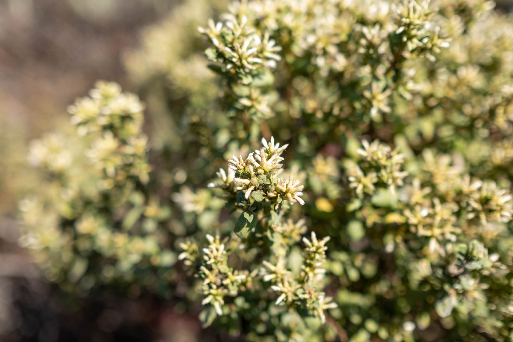 
  Photo 1 of 23 in California Road Trip