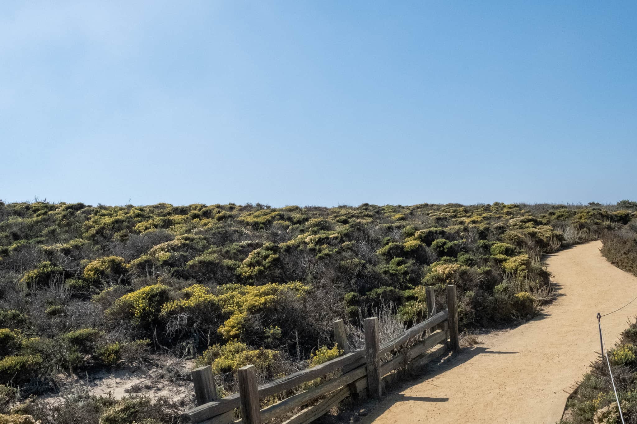 
  Photo 1 of 23 in California Road Trip