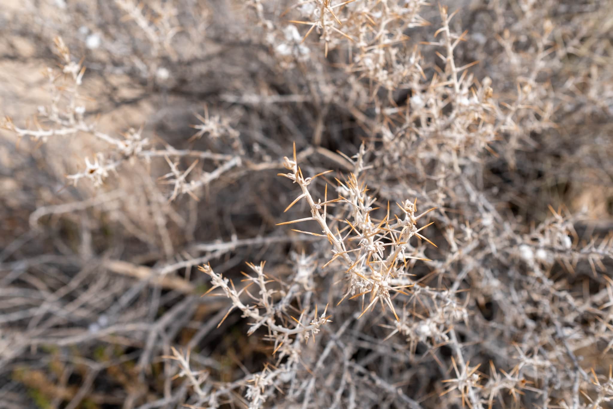 
  Photo 1 of 23 in California Road Trip