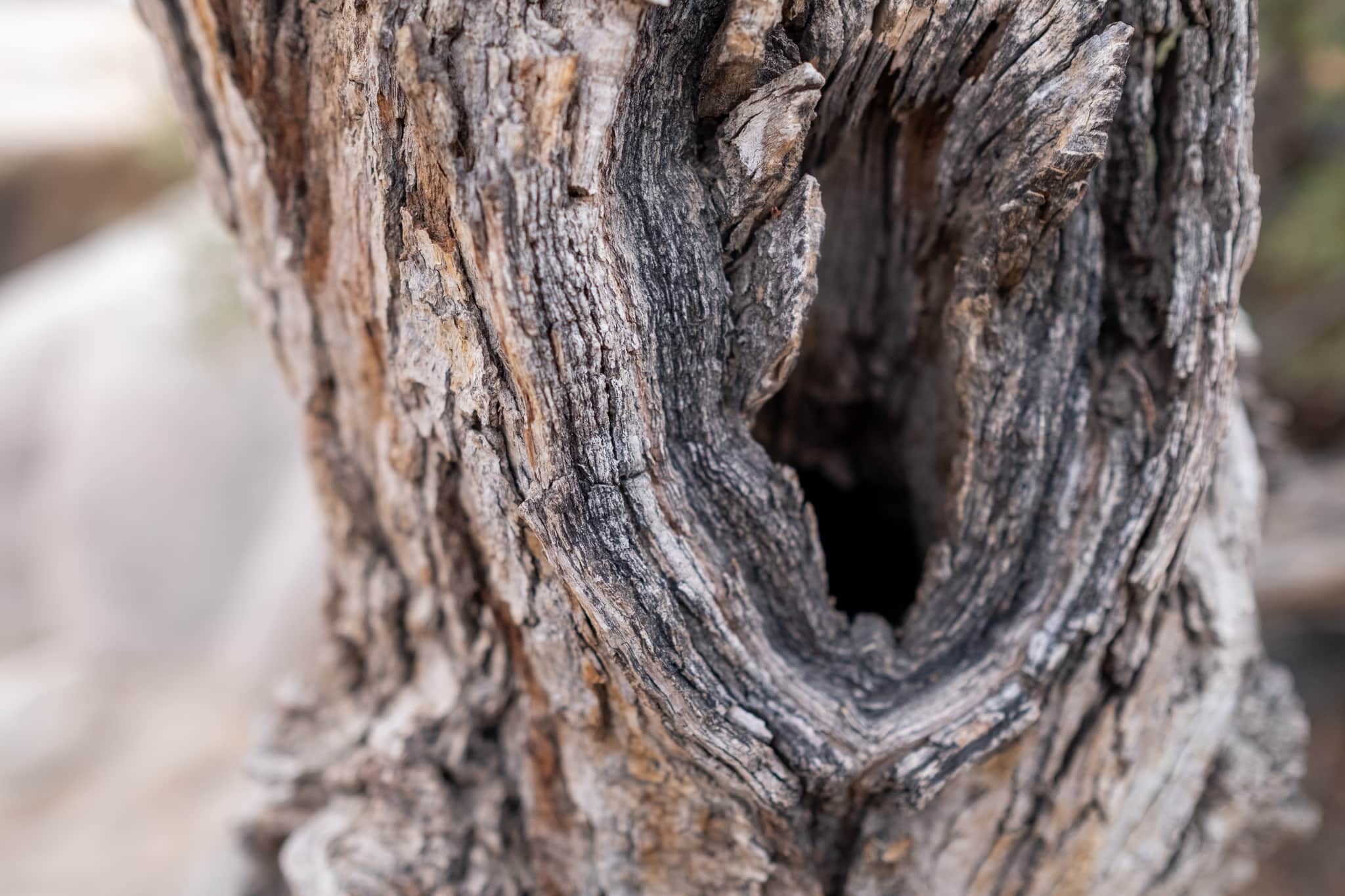 
  Photo 1 of 23 in California Road Trip