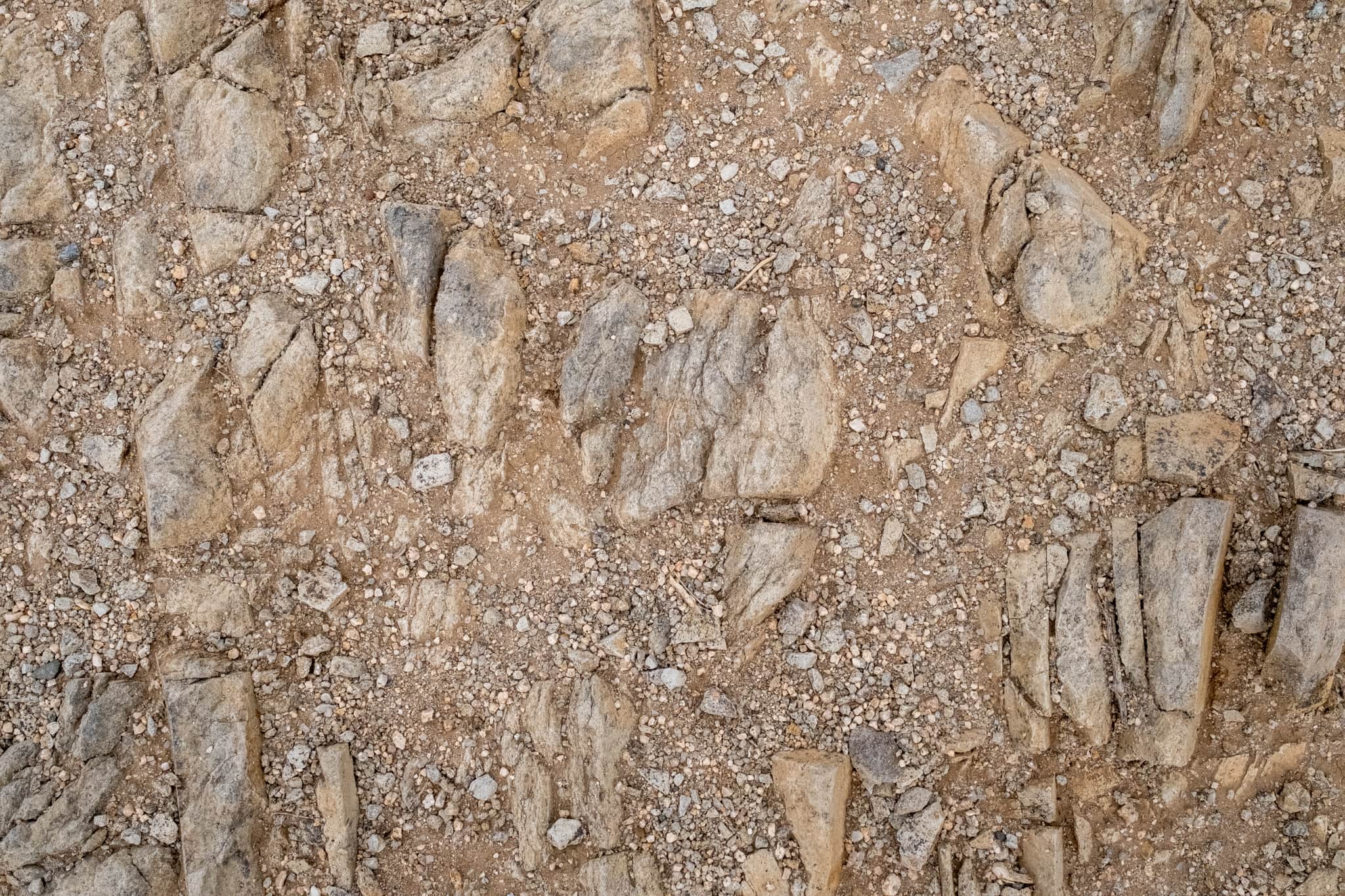 
  Photo 1 of 23 in California Road Trip