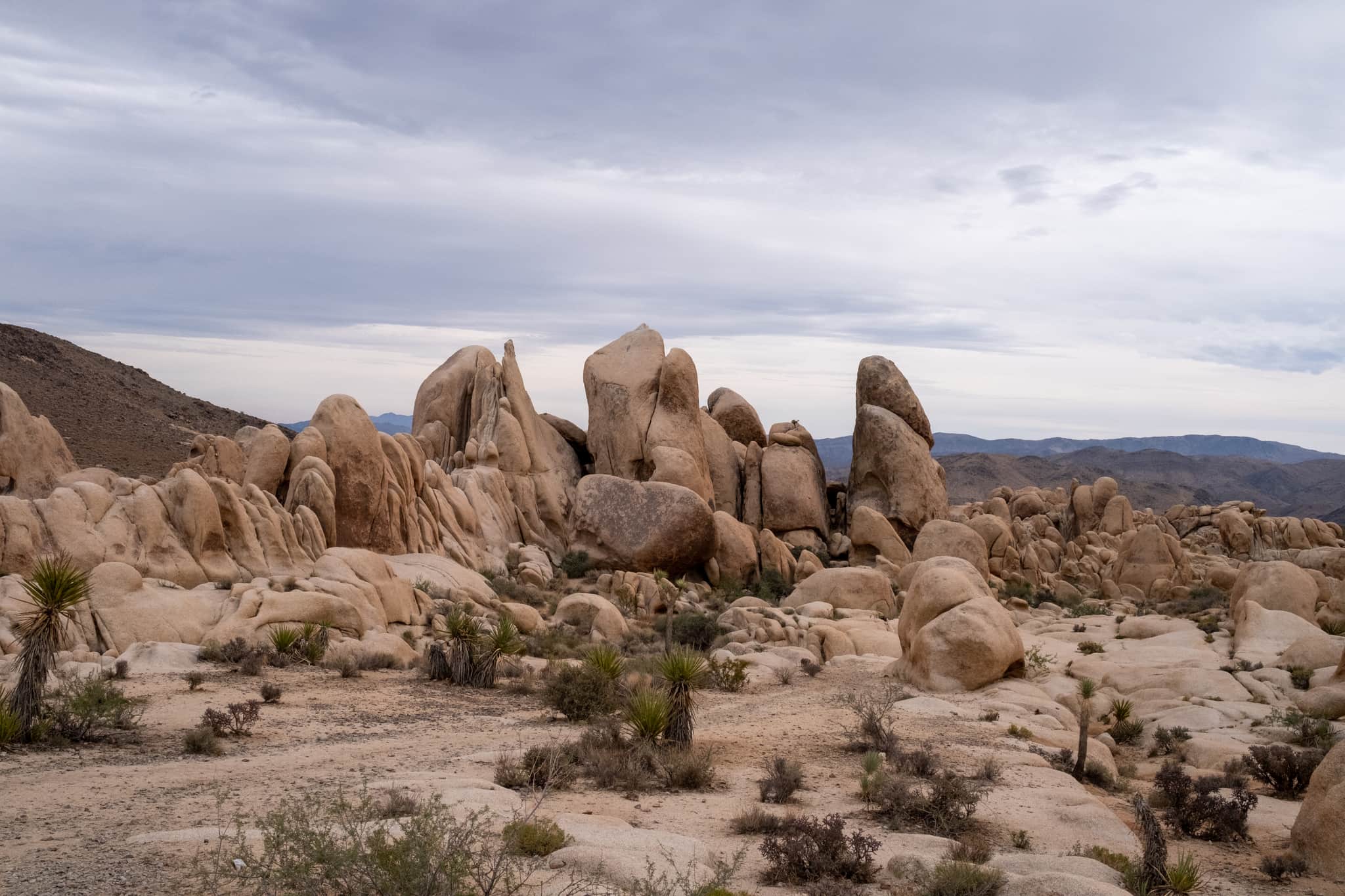 
  Photo 1 of 23 in California Road Trip