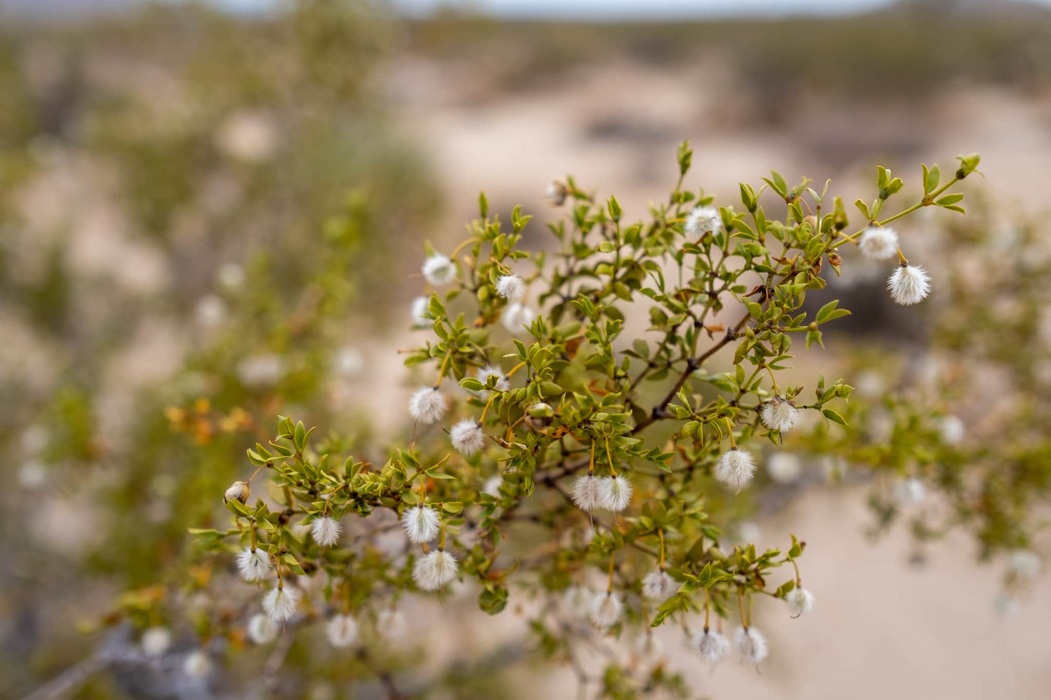 
  Photo 1 of 23 in California Road Trip