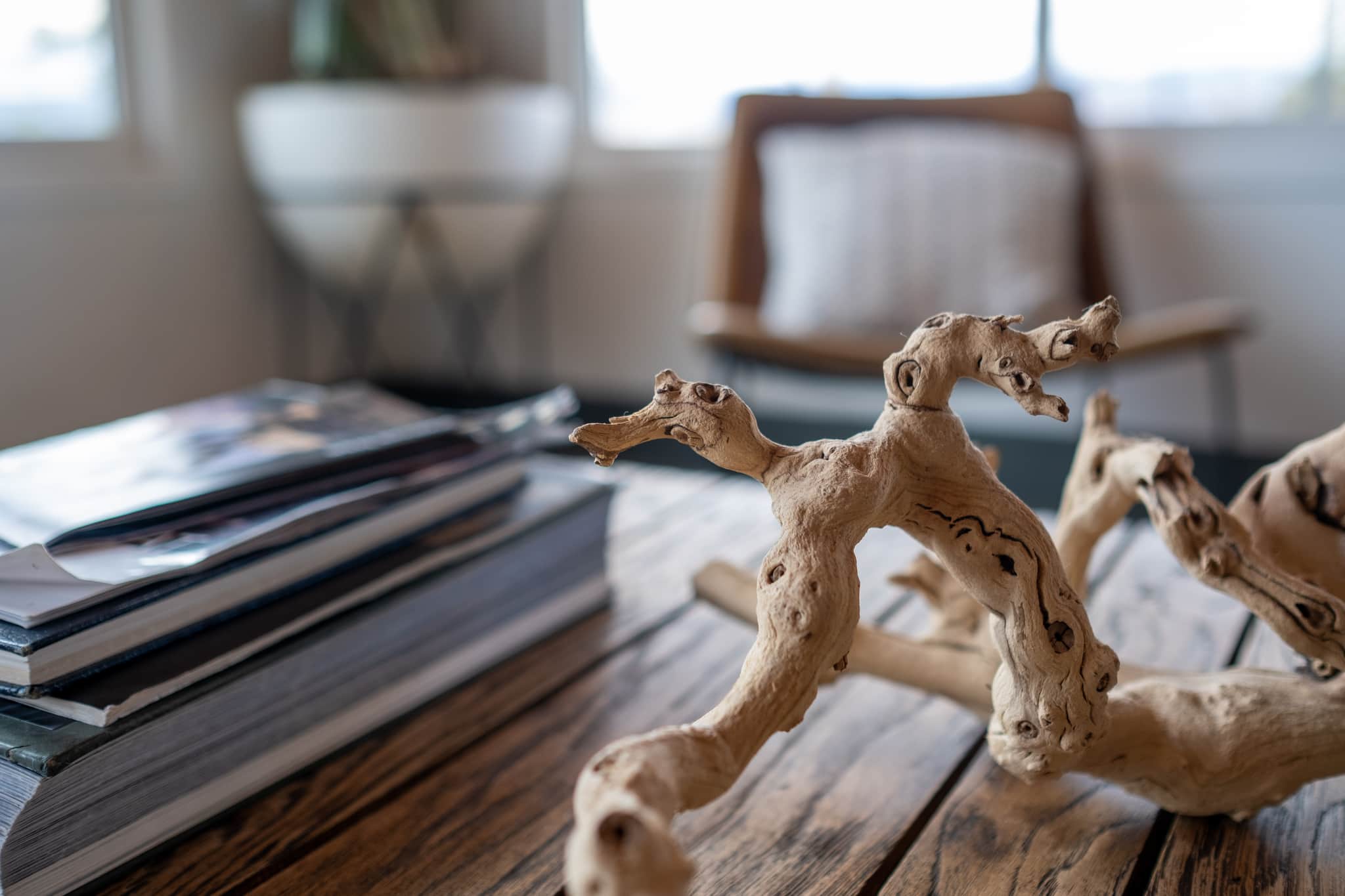 
  Photo 1 of 23 in California Road Trip