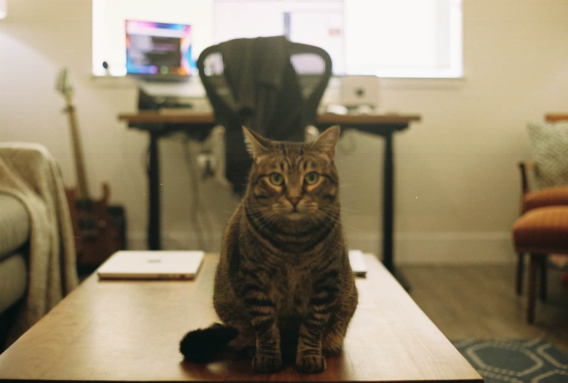 
  Photo 1 of 26 in Redwood City