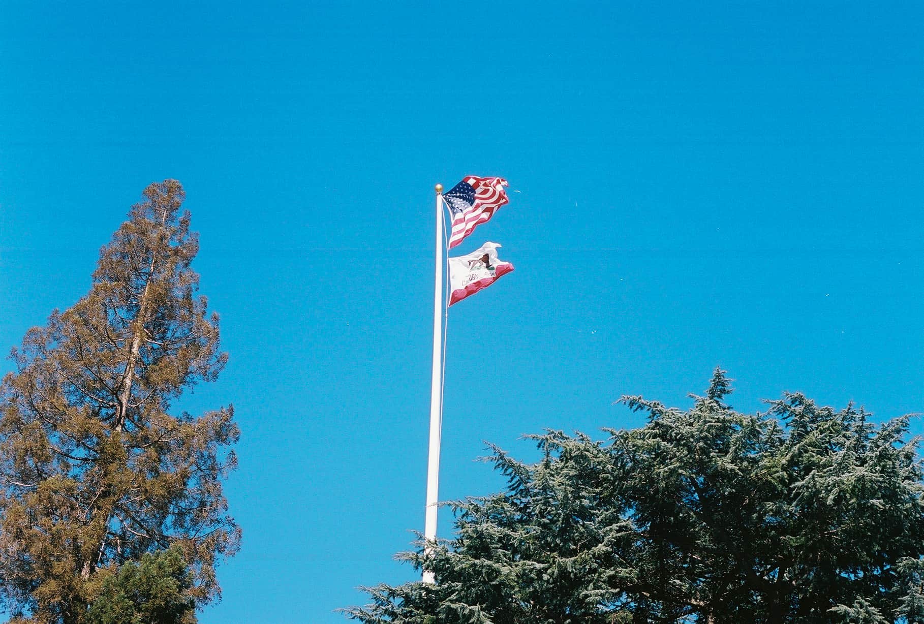 
  Photo 1 of 26 in Redwood City