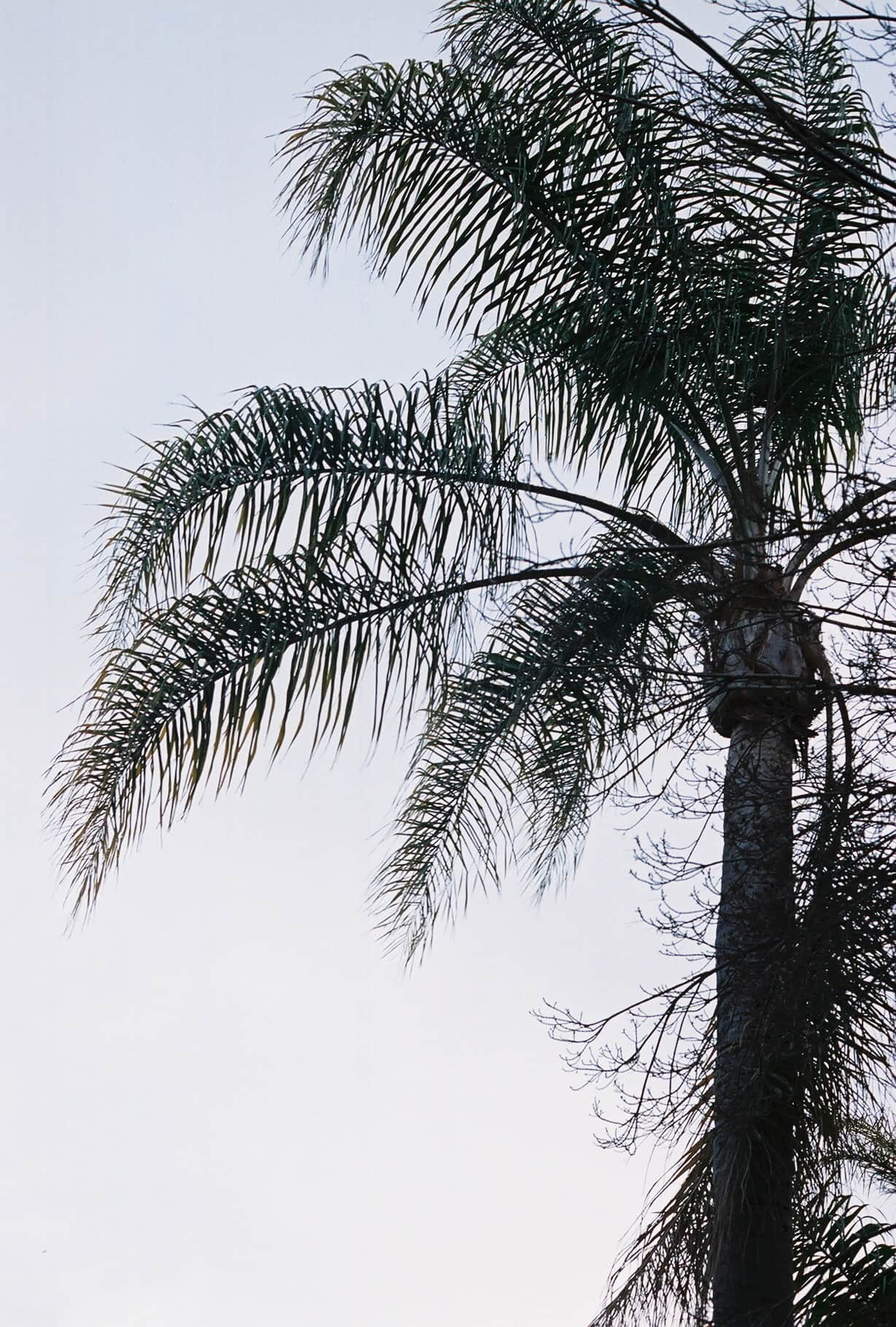 
  Photo 1 of 26 in Redwood City