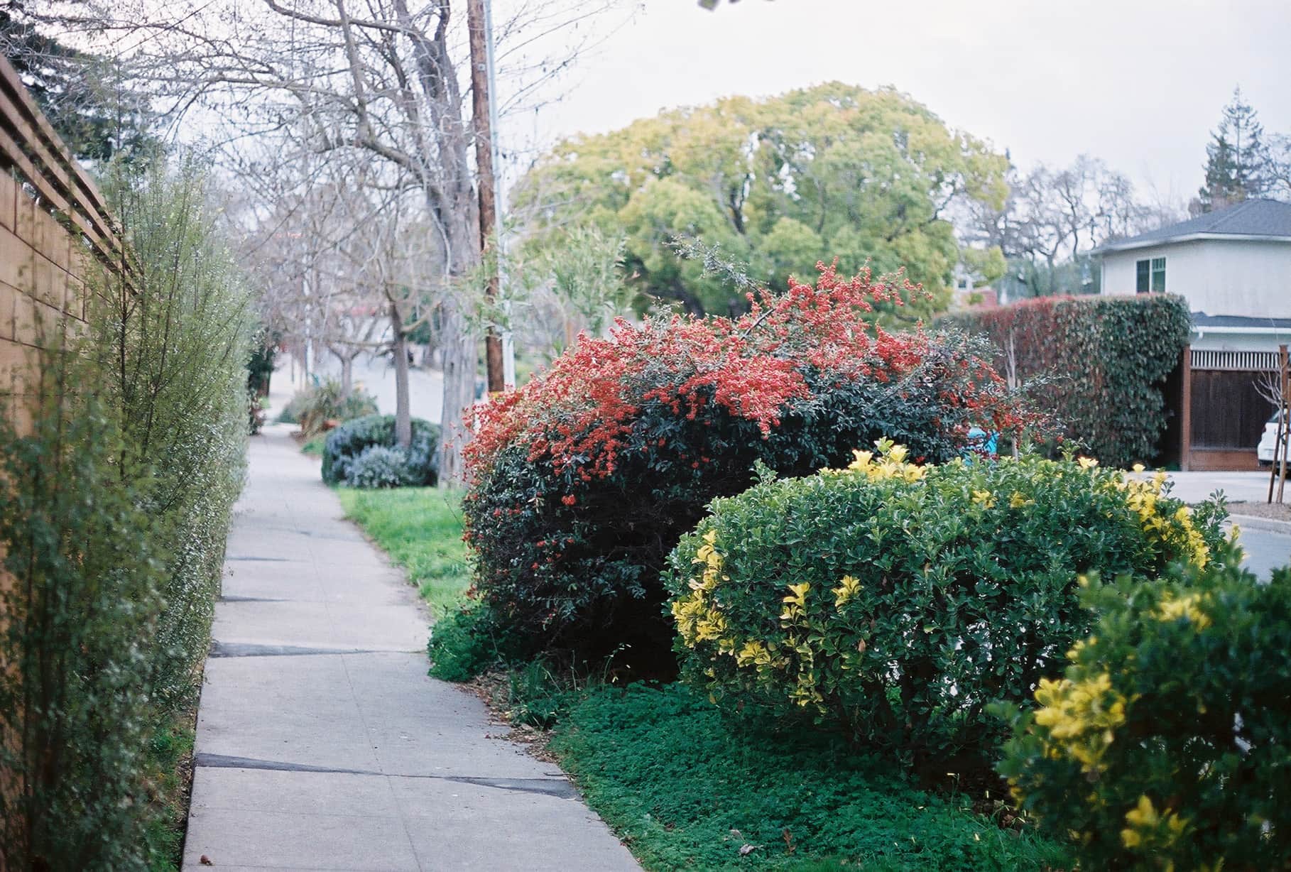 
  Photo 1 of 26 in Redwood City