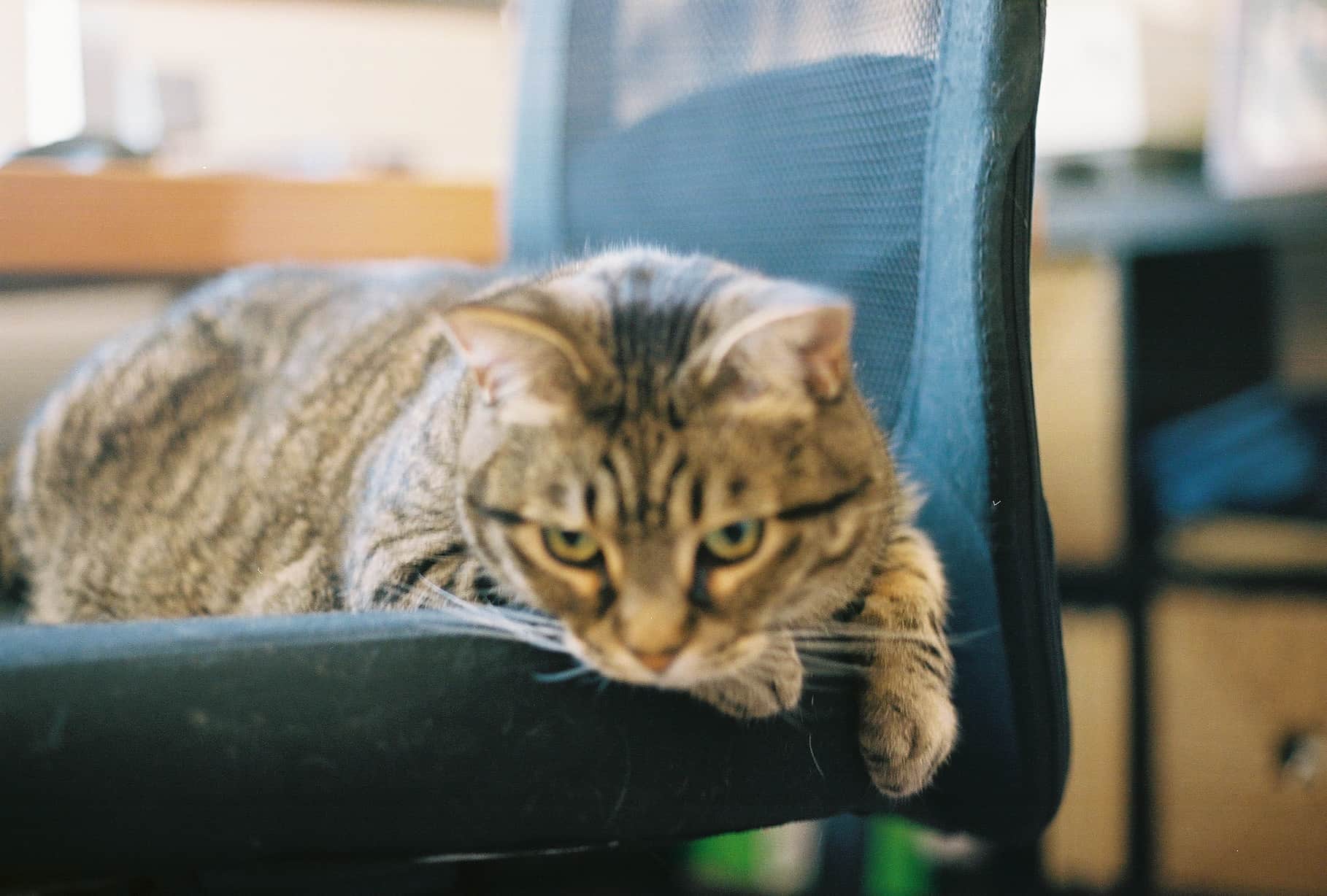 
  Photo 1 of 26 in Redwood City