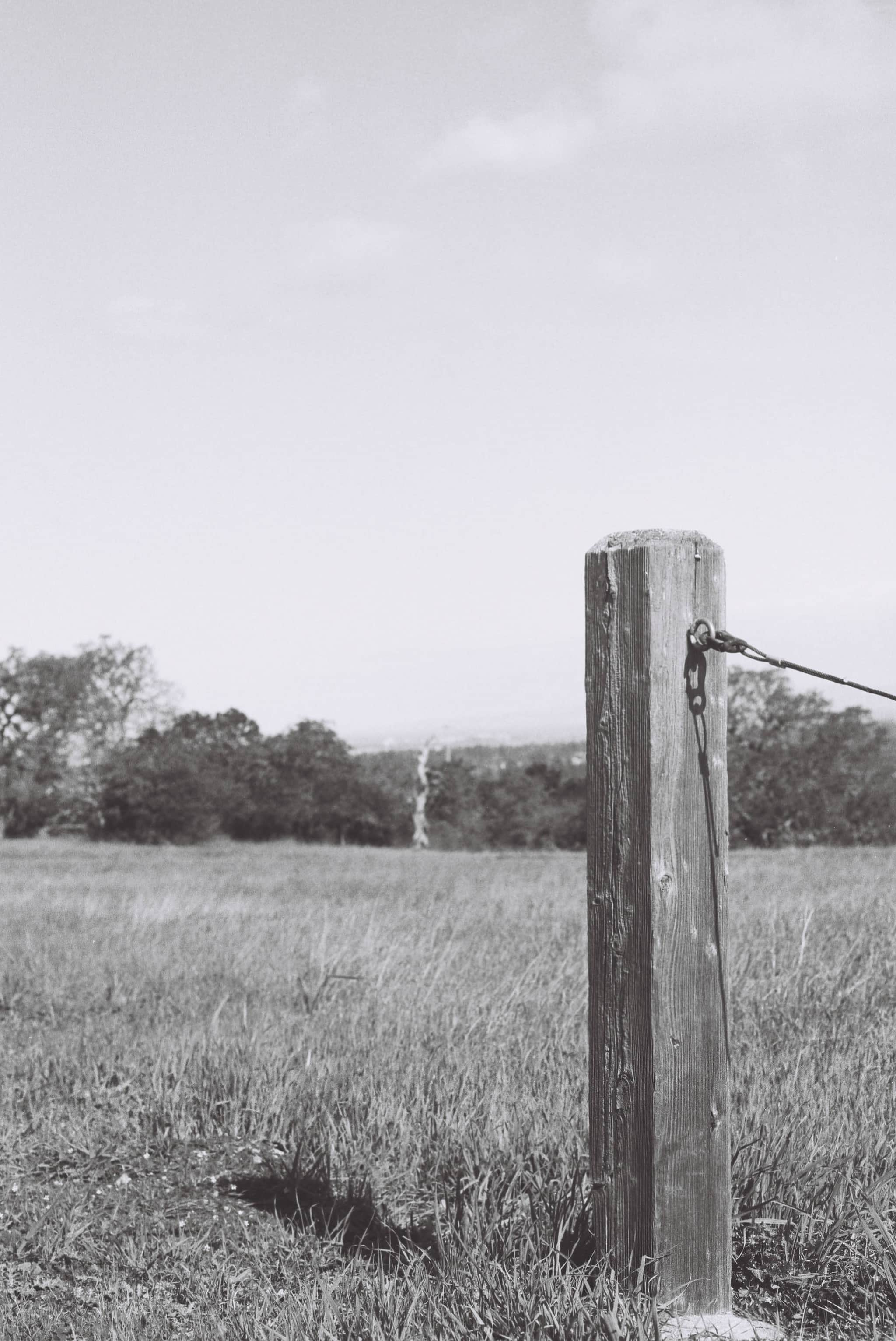 
  Photo 1 of 27 in The Dish