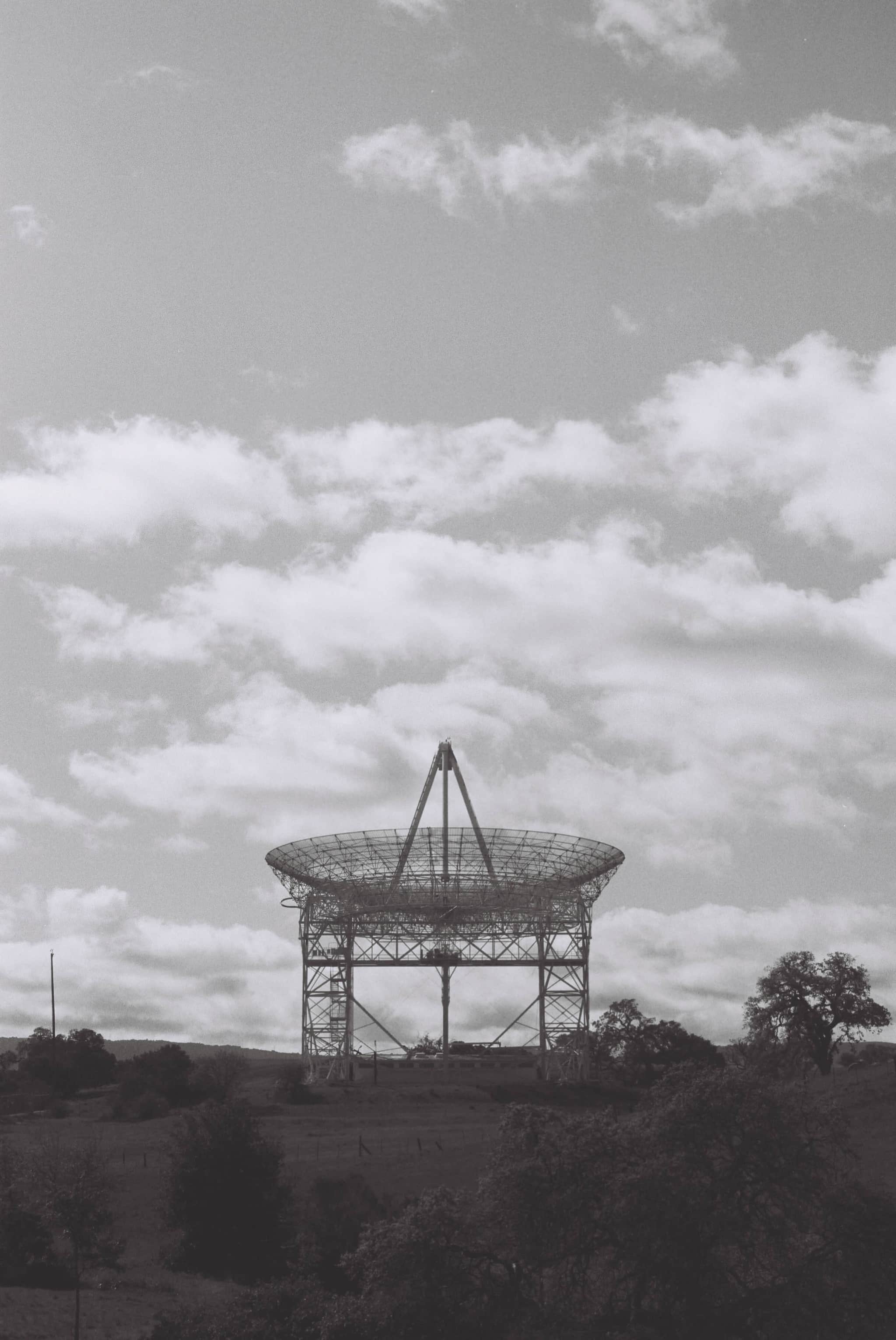 
  Photo 1 of 27 in The Dish