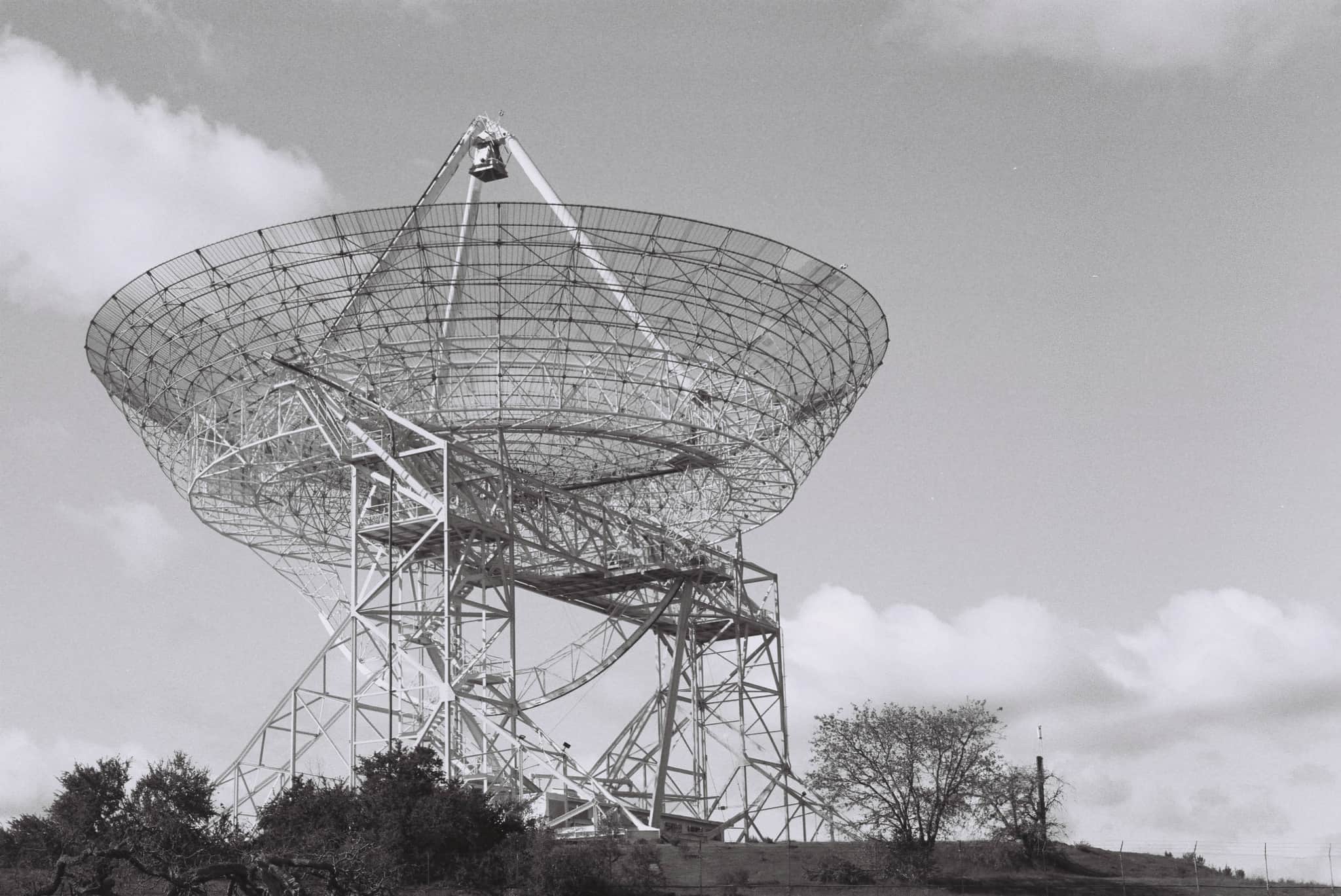 
  Photo 1 of 27 in The Dish