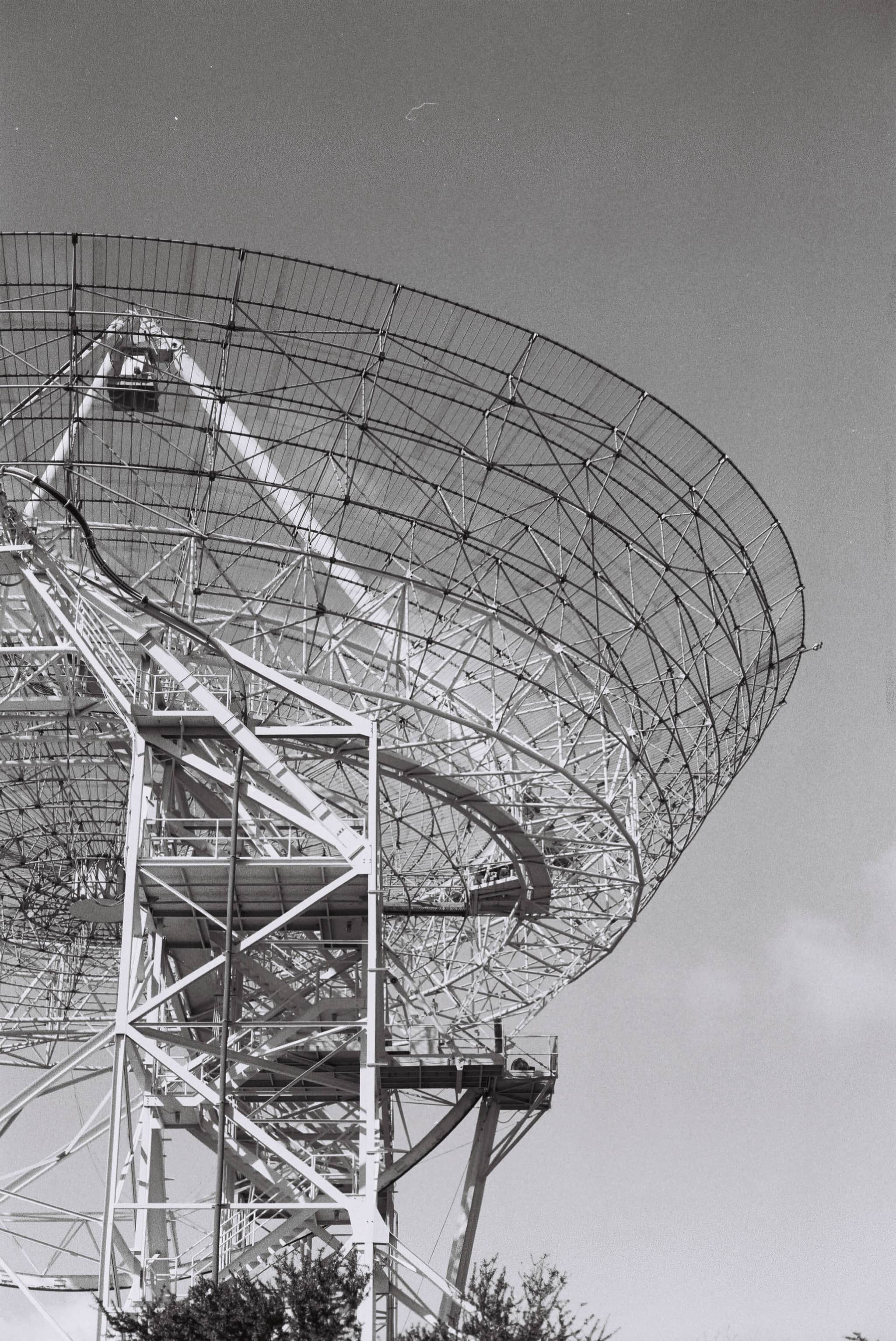 
  Photo 1 of 27 in The Dish