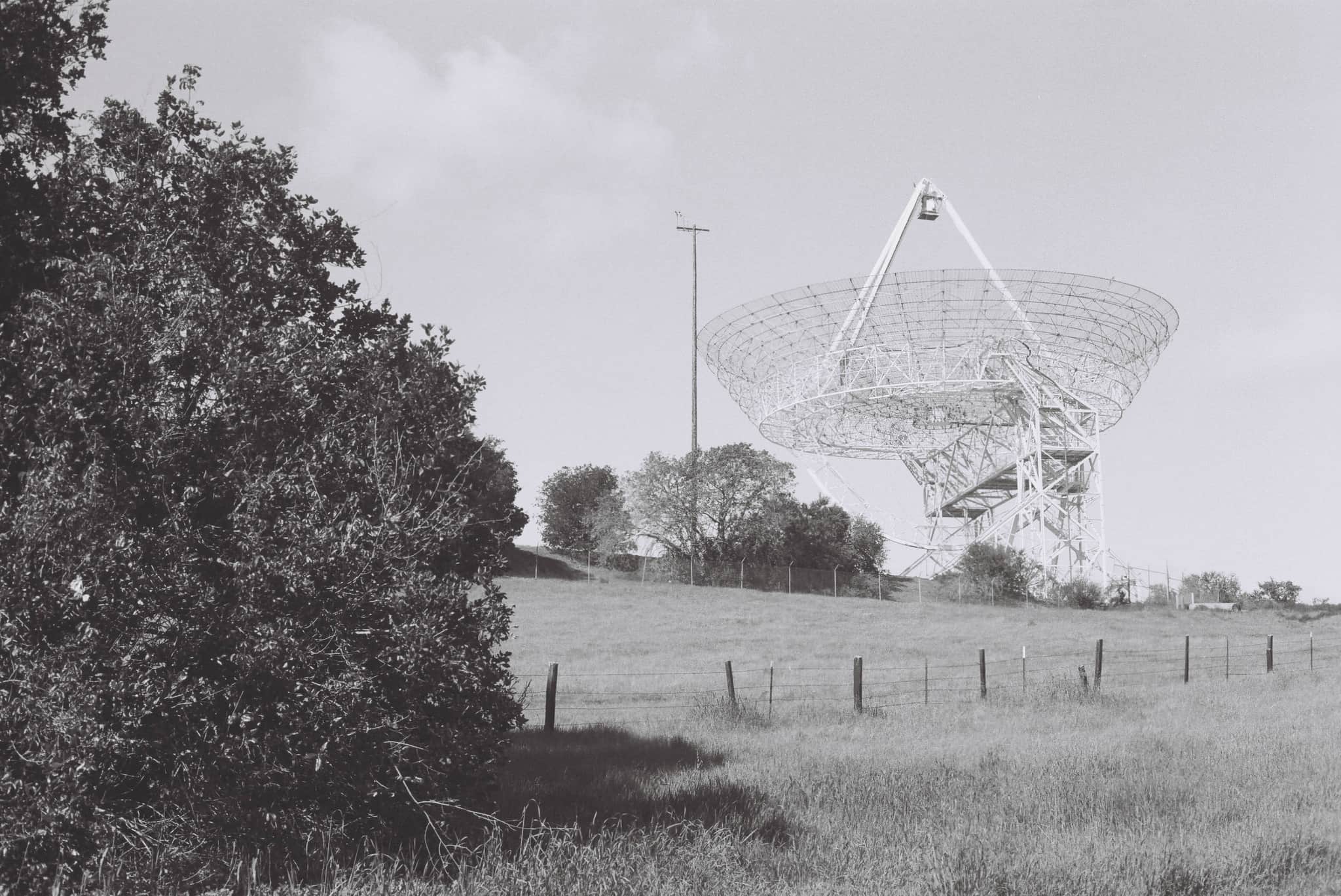 
  Photo 1 of 27 in The Dish