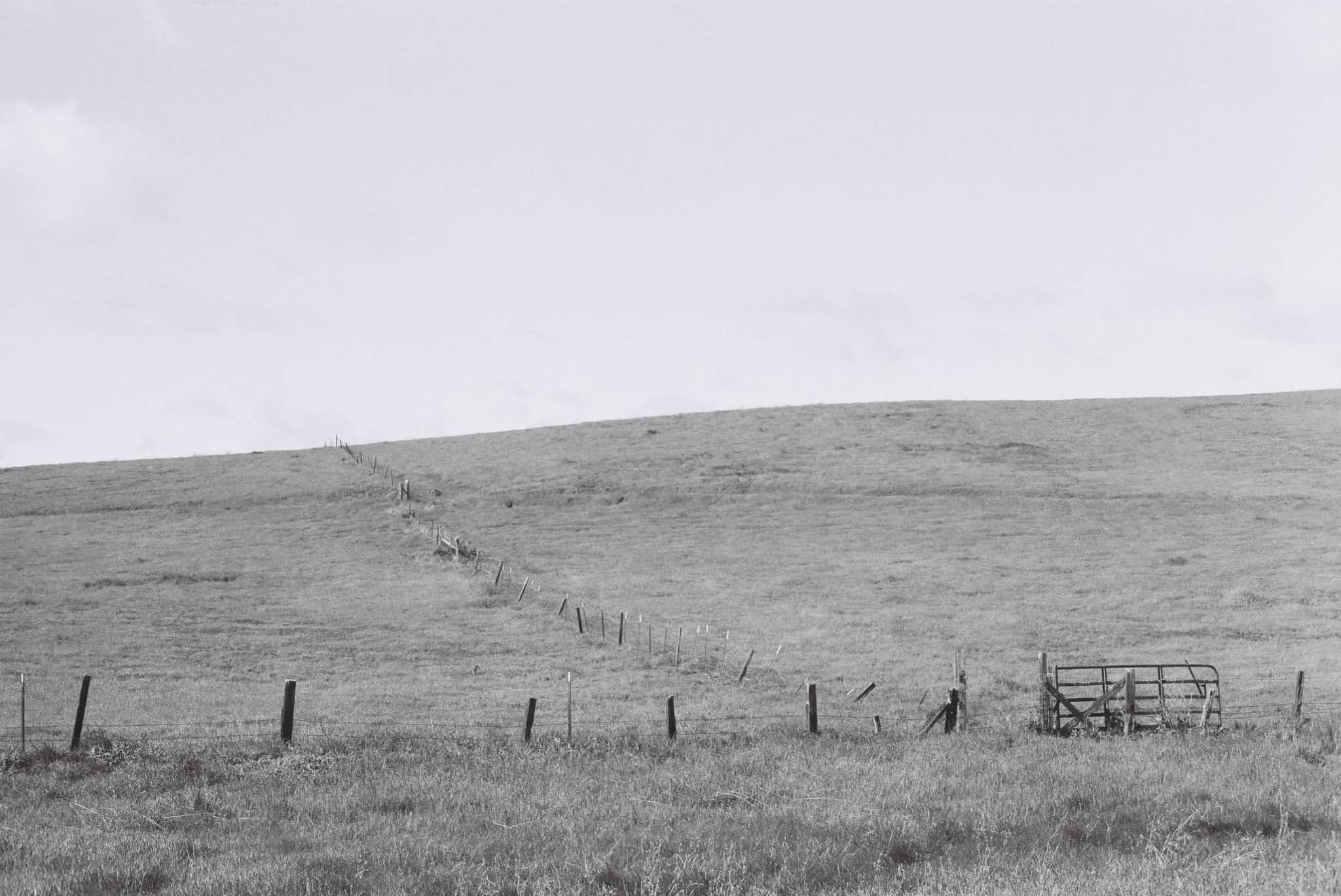 
  Photo 1 of 27 in The Dish