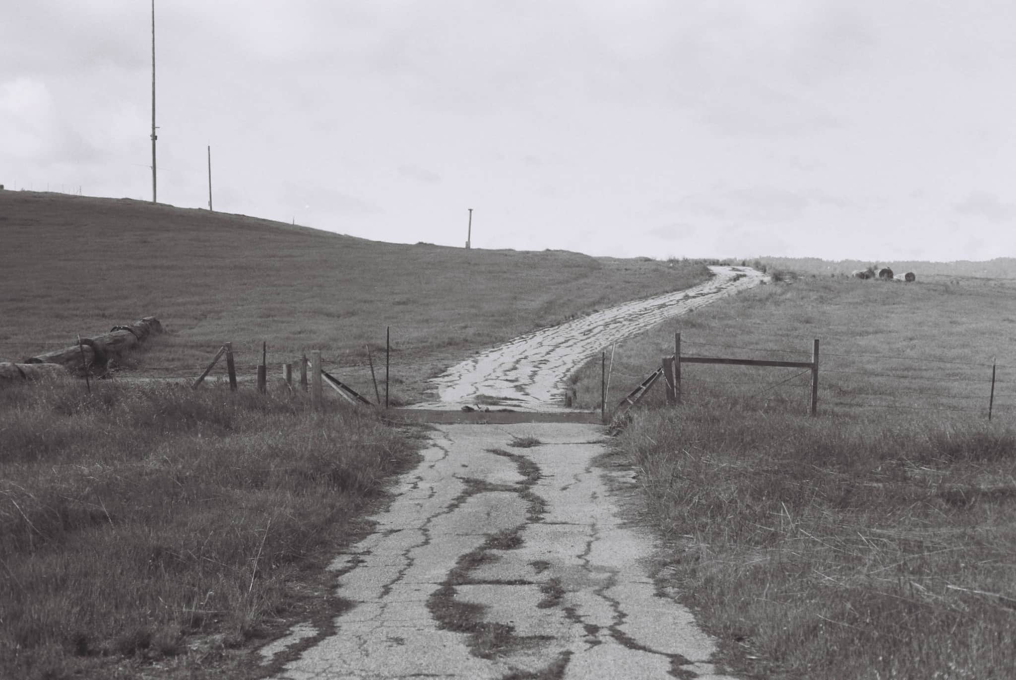 
  Photo 1 of 27 in The Dish