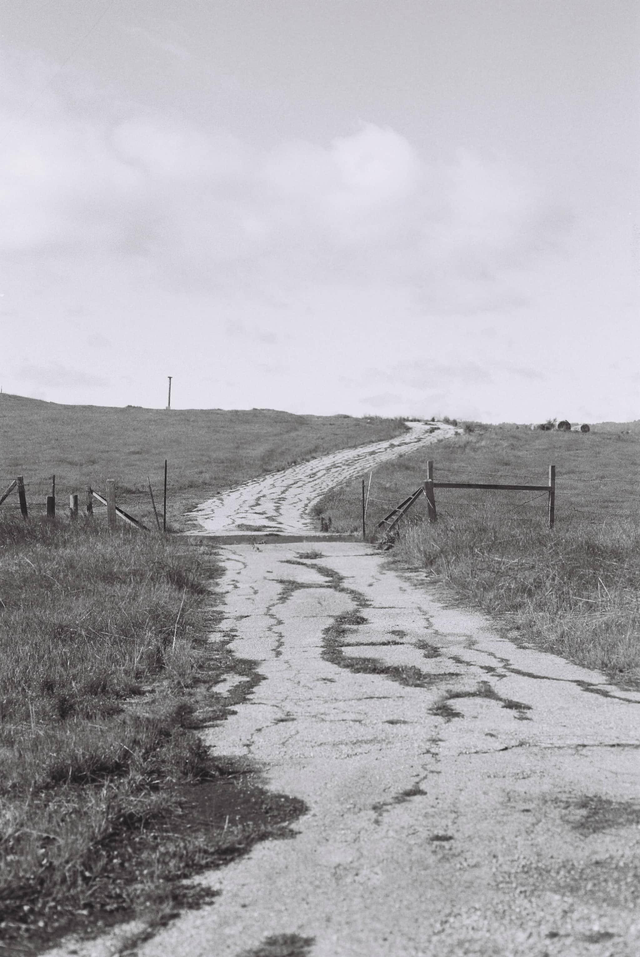 
  Photo 1 of 27 in The Dish