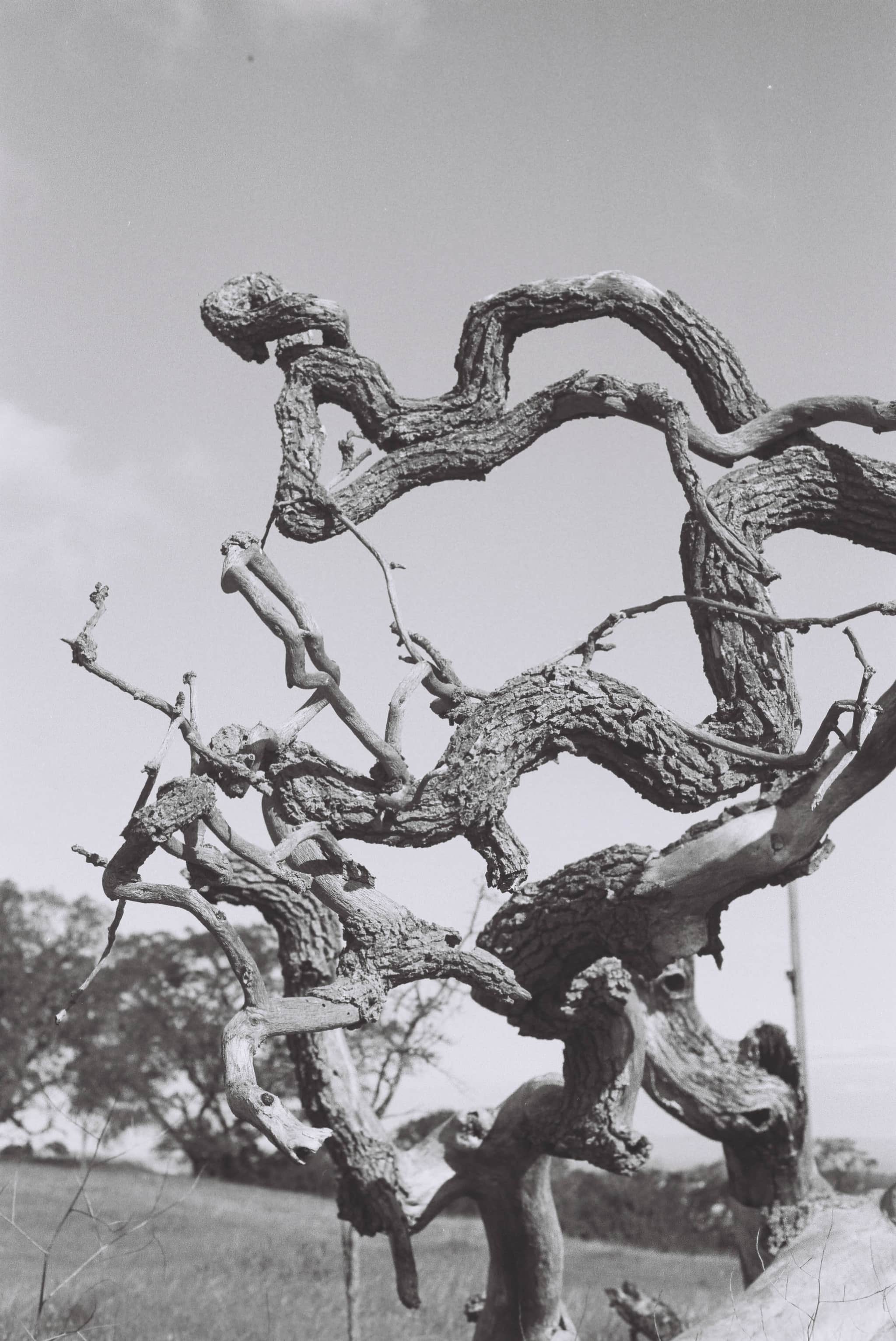 
  Photo 1 of 27 in The Dish