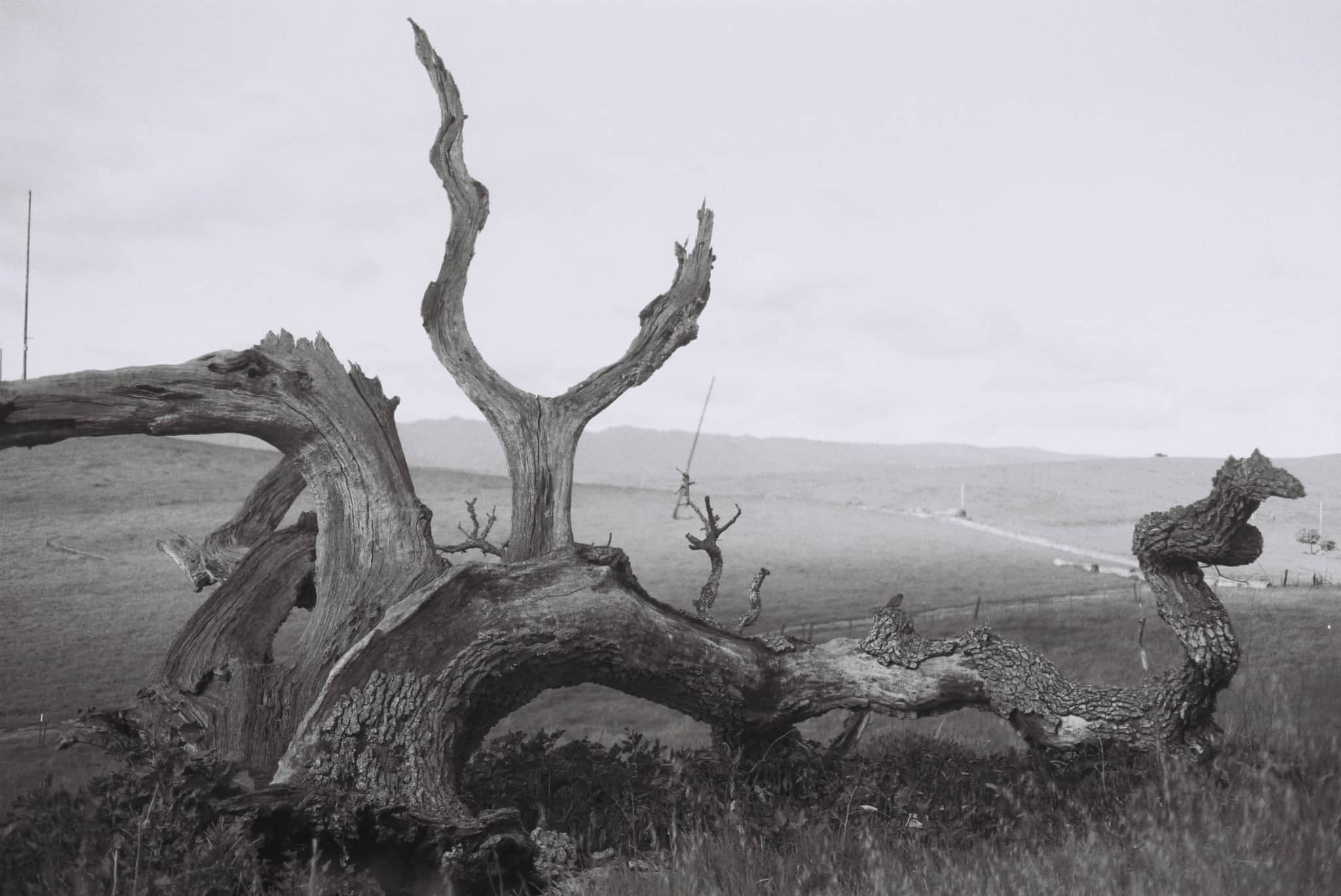 
  Photo 1 of 27 in The Dish