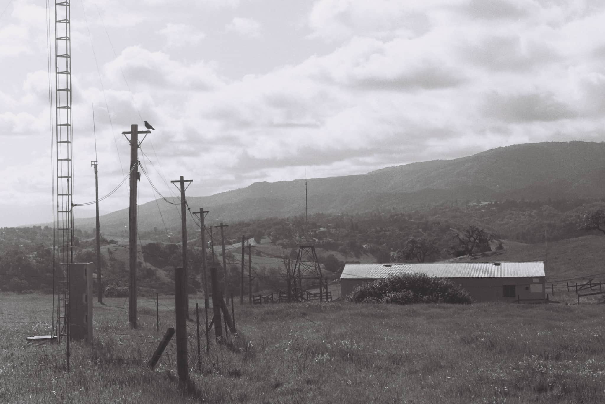 
  Photo 1 of 27 in The Dish