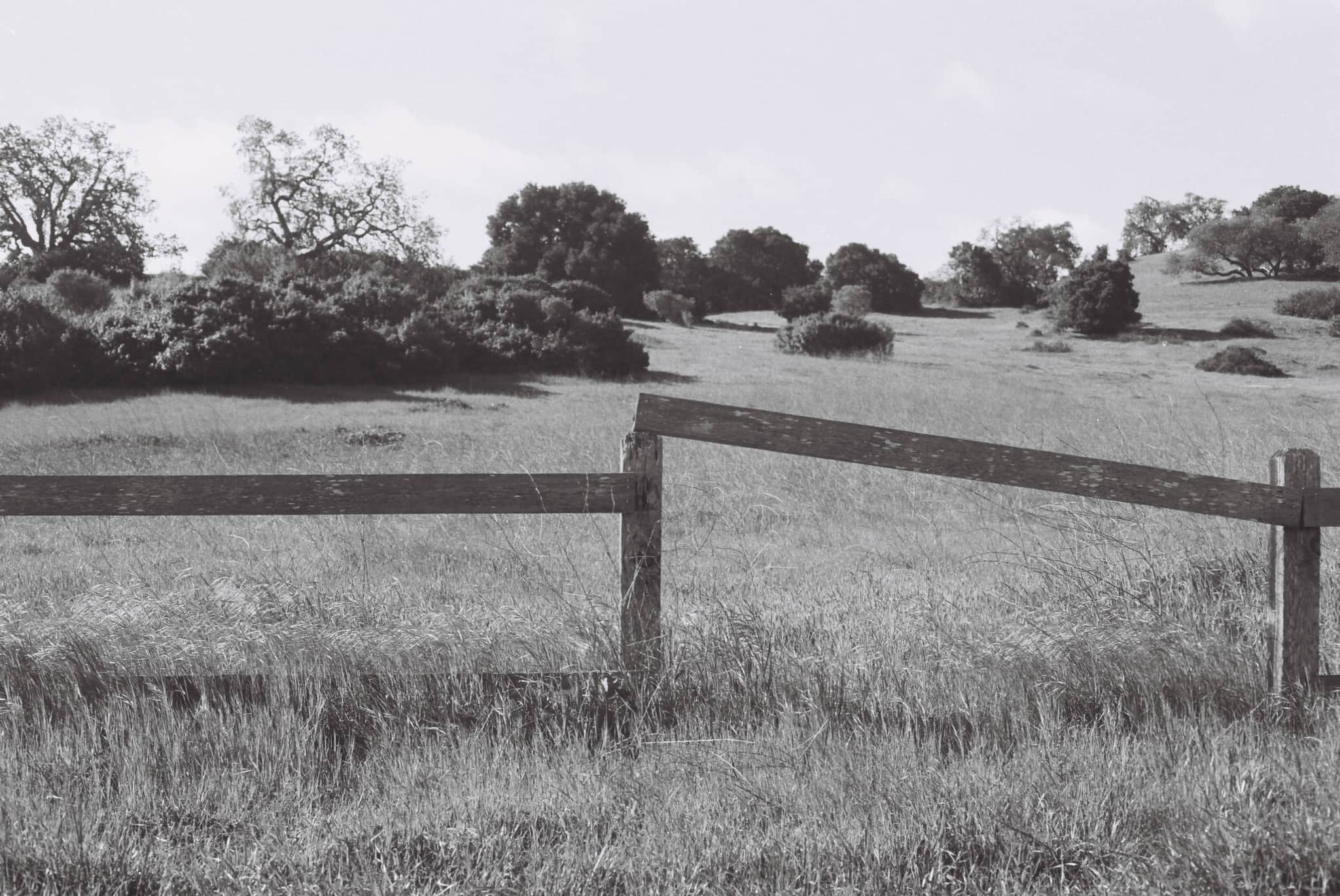 
  Photo 1 of 27 in The Dish