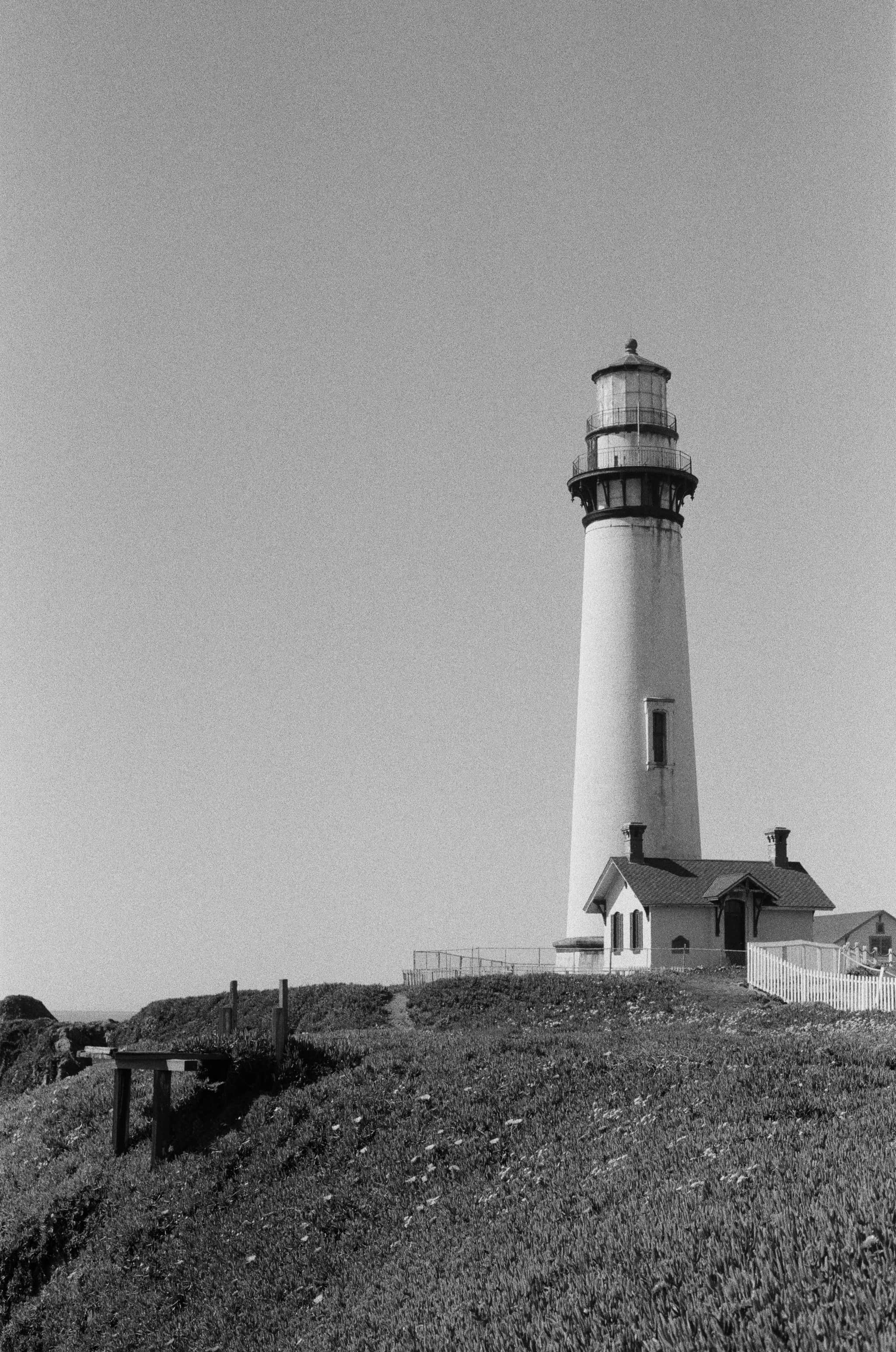 
  Photo 1 of 15 in Pigeon Point