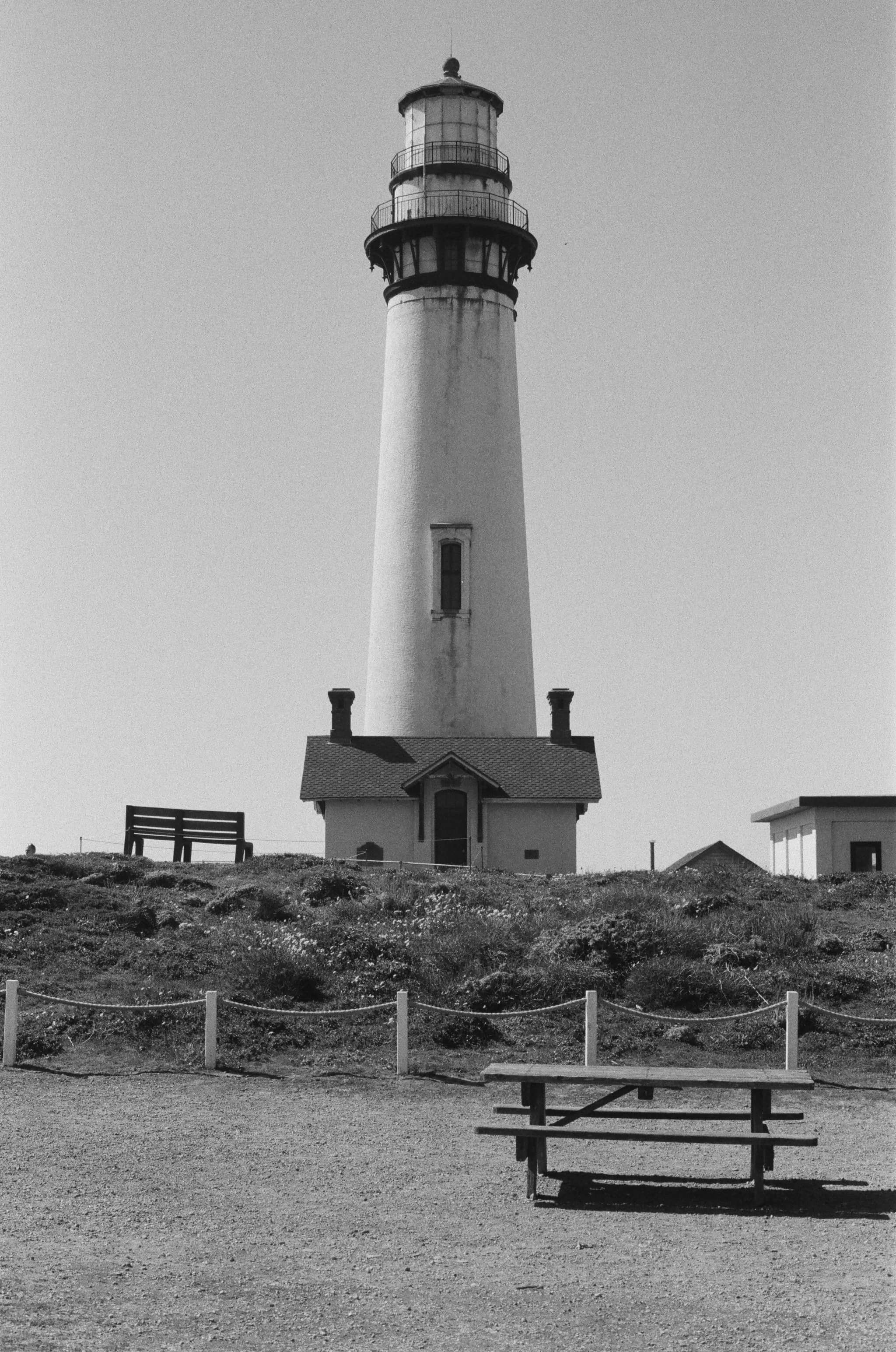
  Photo 1 of 15 in Pigeon Point