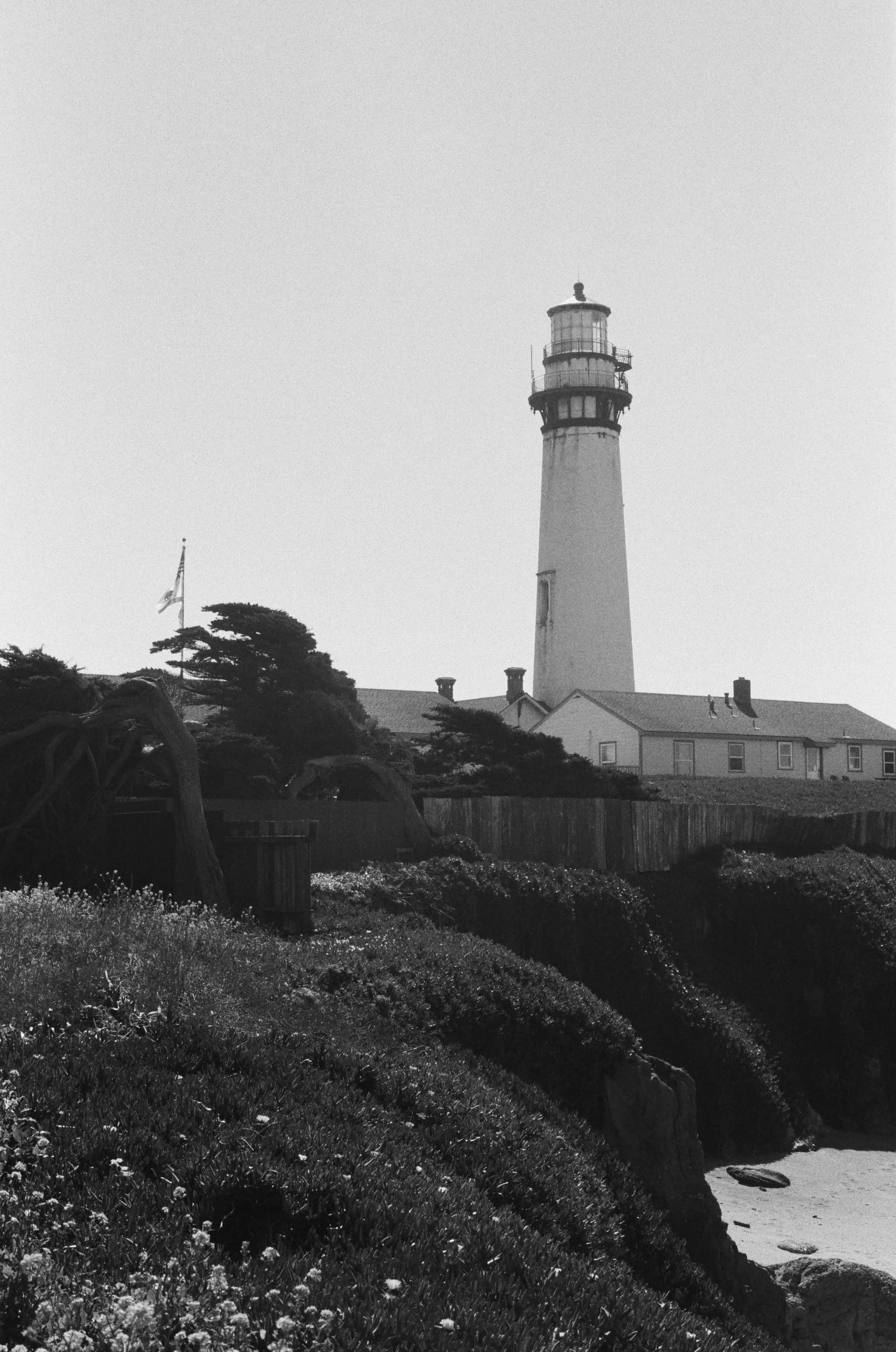 
  Photo 1 of 15 in Pigeon Point