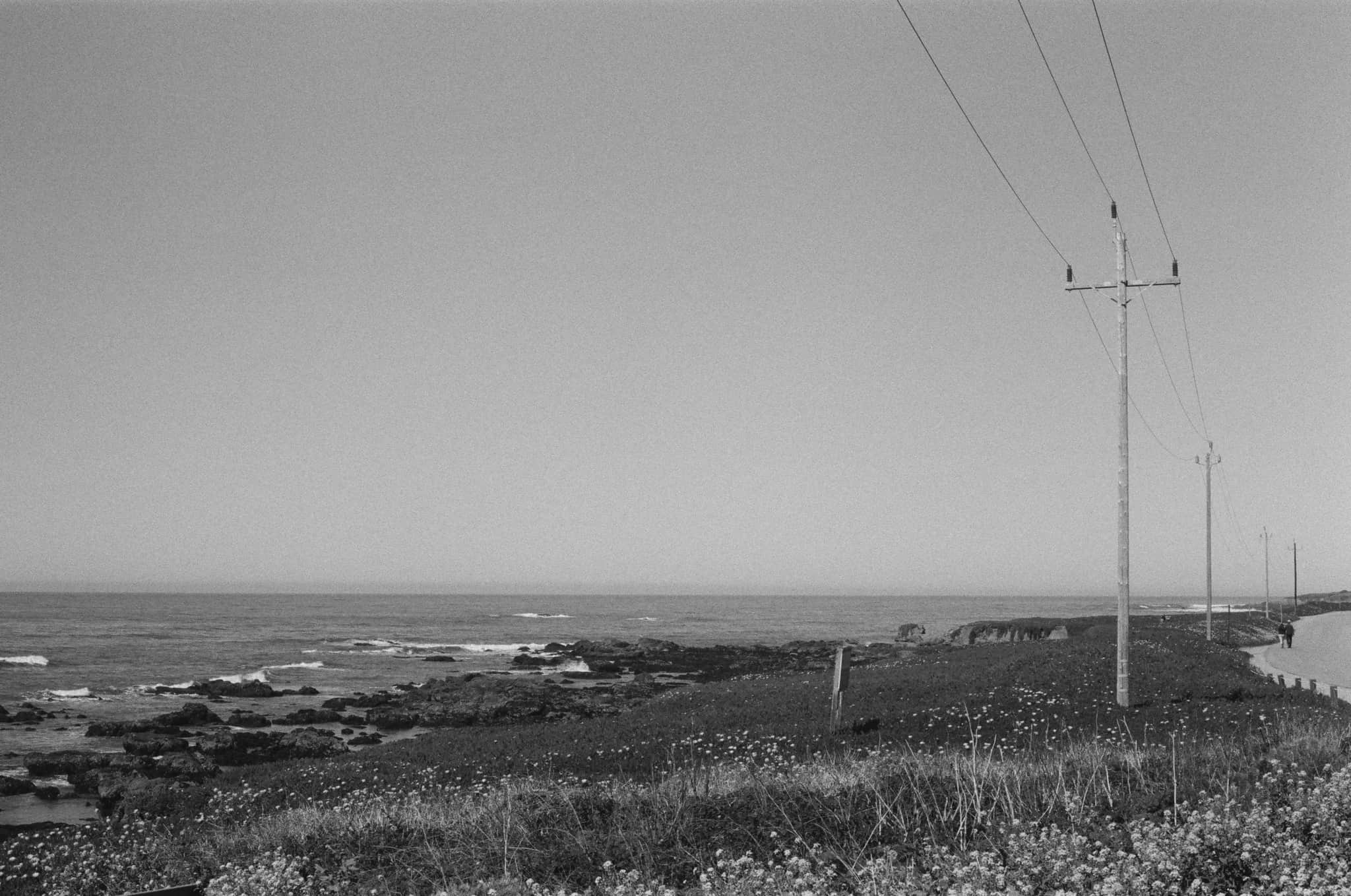 
  Photo 1 of 15 in Pigeon Point