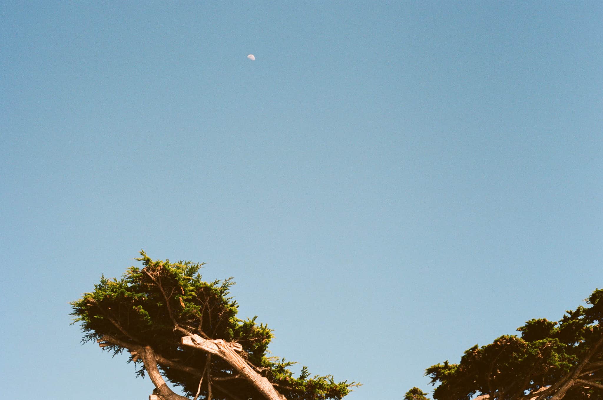 
  Photo 1 of 33 in Carmel