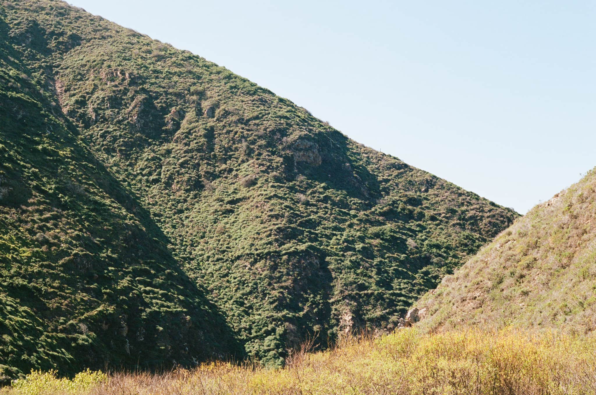 
  Photo 1 of 33 in Carmel