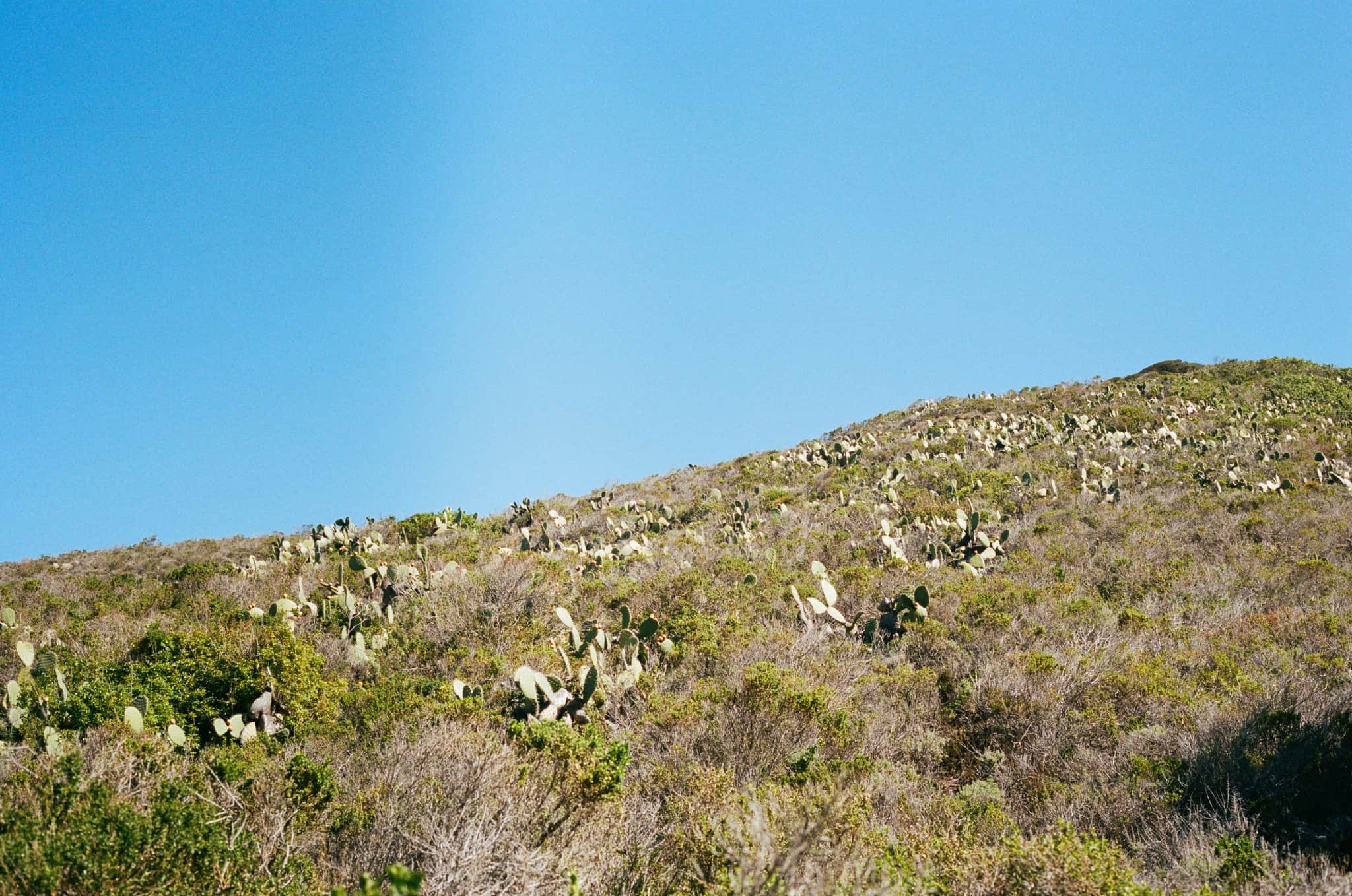 
  Photo 1 of 33 in Carmel