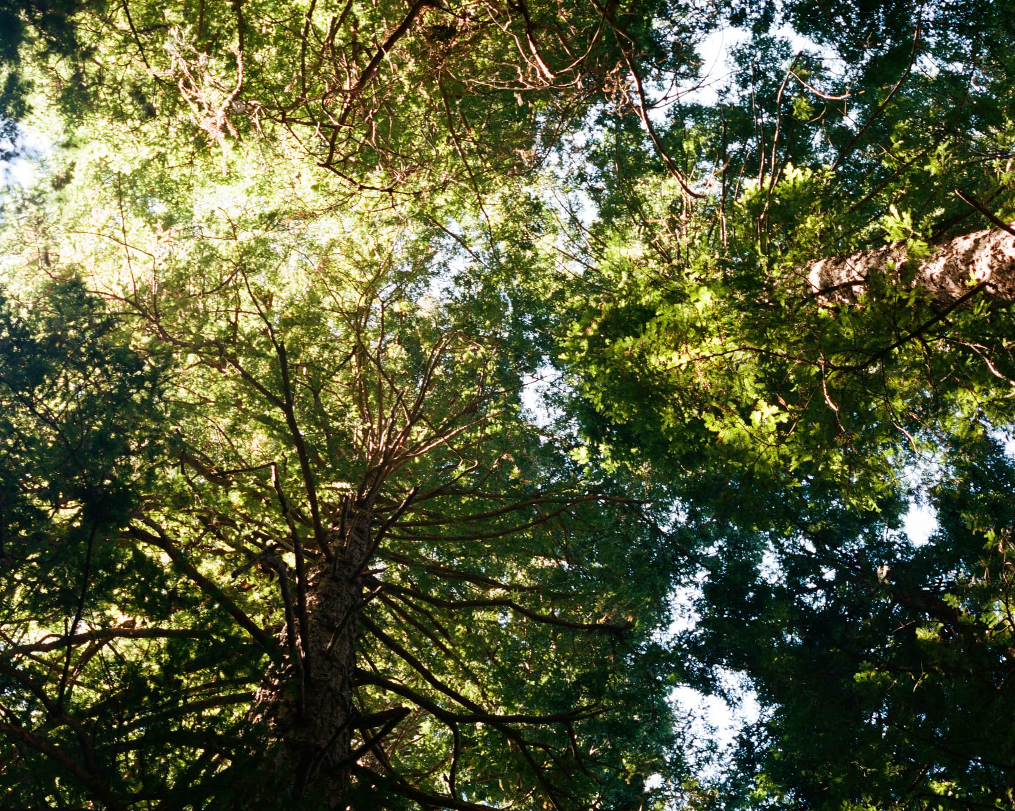 
  Photo 1 of 33 in Carmel