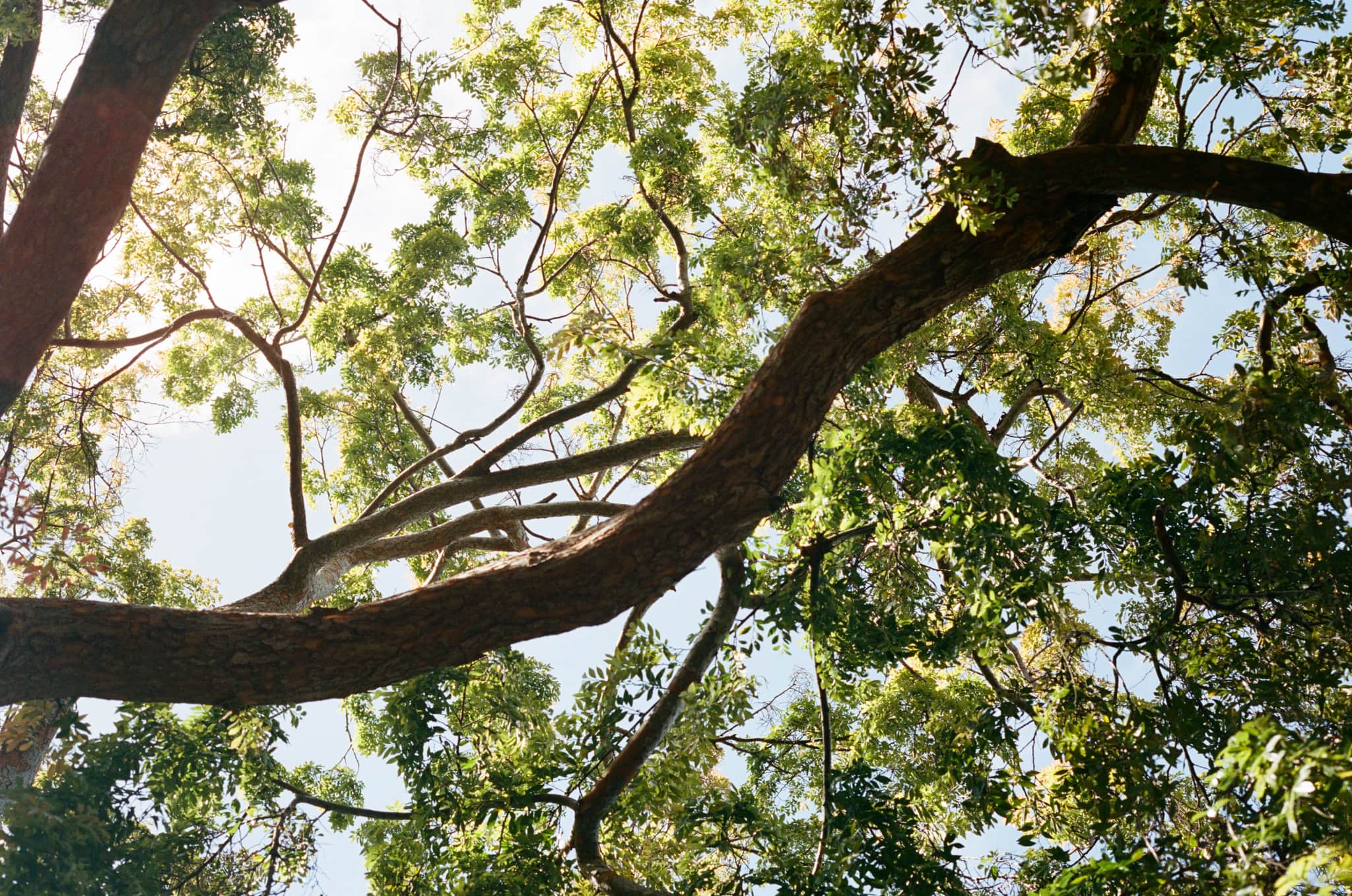 
  Photo 1 of 33 in Carmel